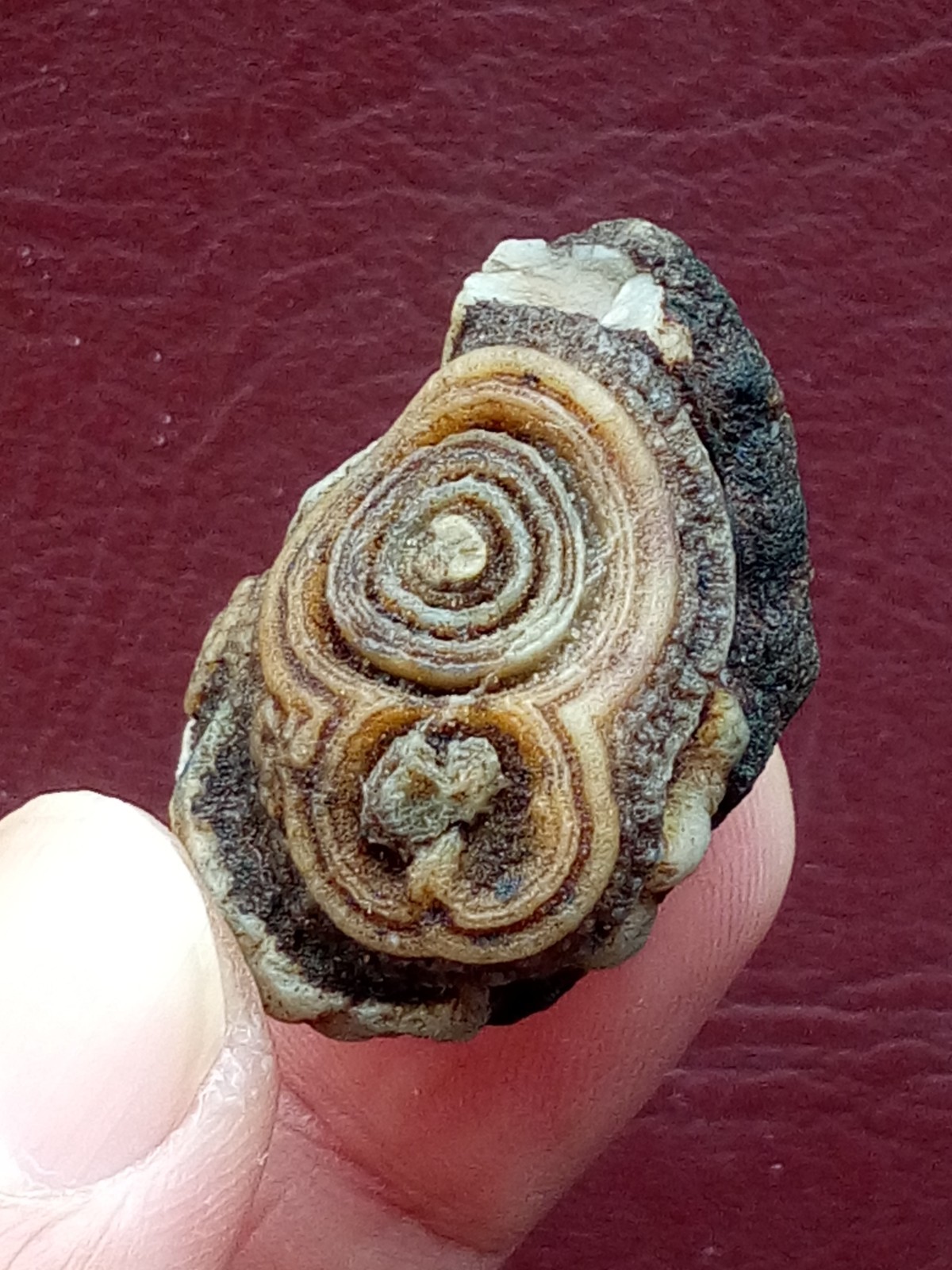 34mm Natural agate Gobi agate eye agate cute collection