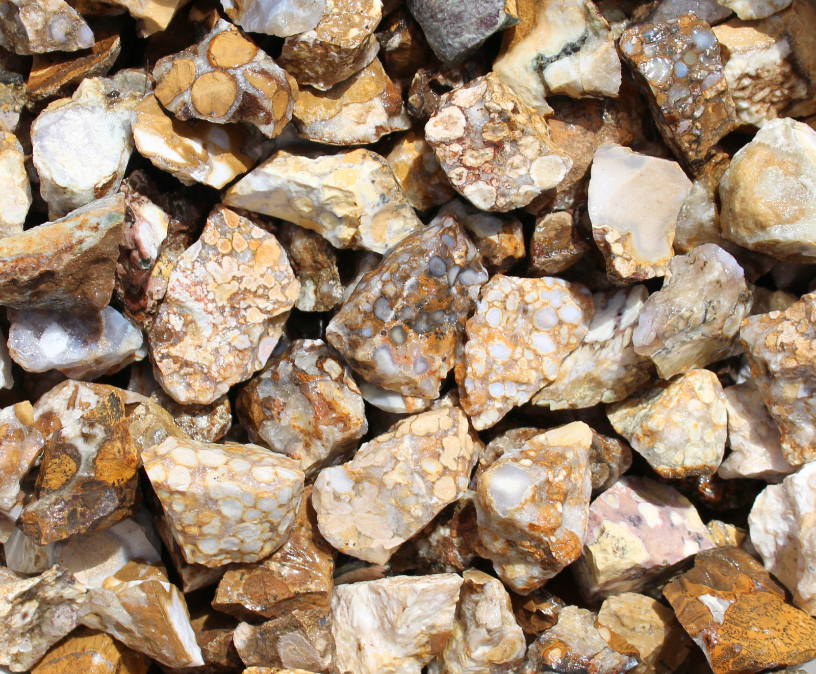 Cobra Jasper – Rough Rocks for Tumbling – Bulk Wholesale Options