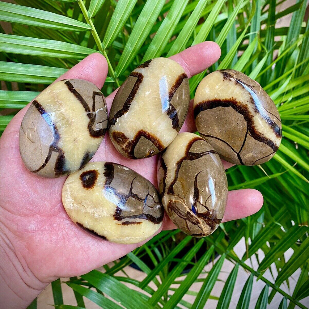 2X Septarian Crystal Dragon Stone Healing Crystal Yoga Meditation Minerals 3-4cm