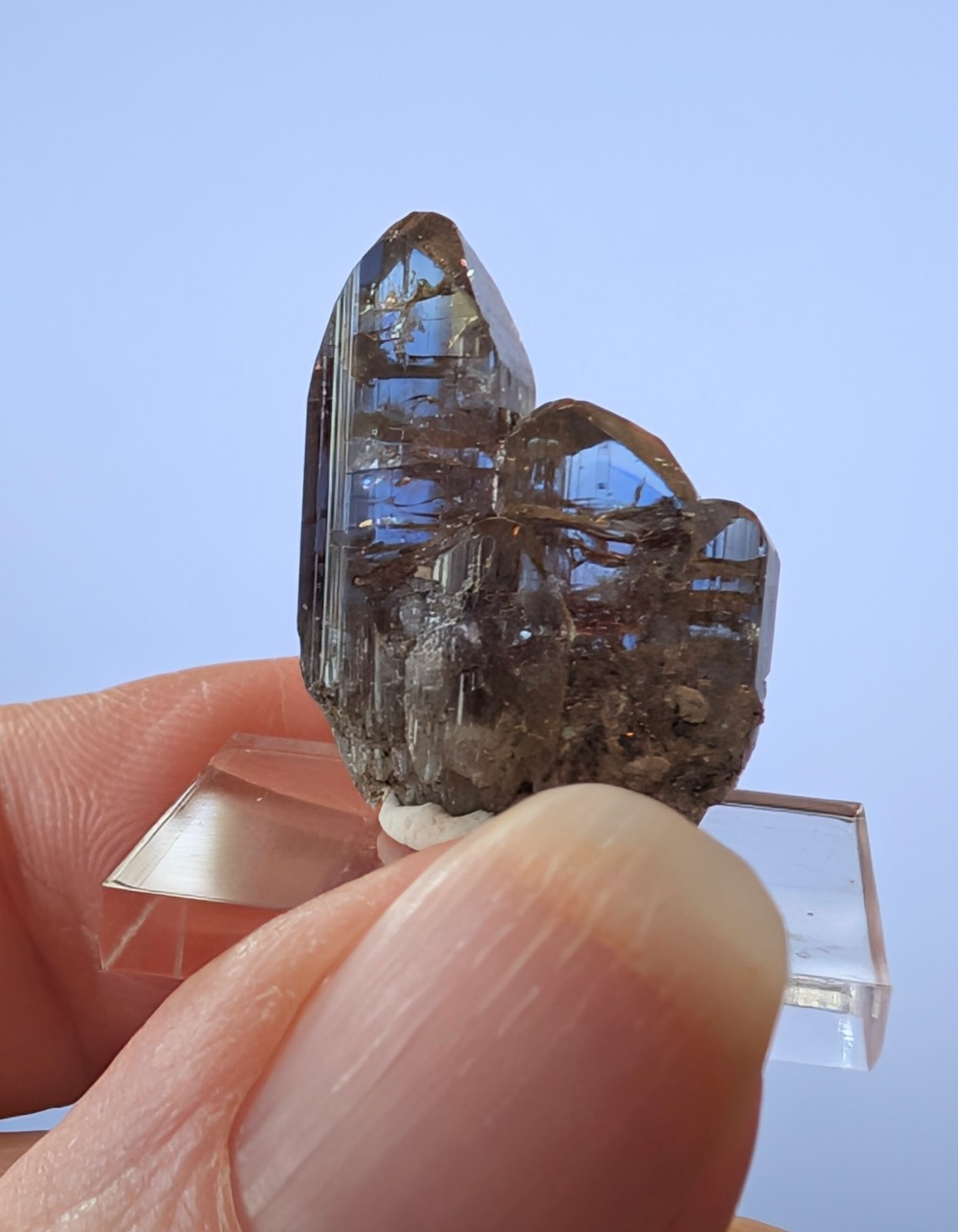 23.5 ct Natural Multi-Termination Tanzanite Crystal Cluster – Unheated