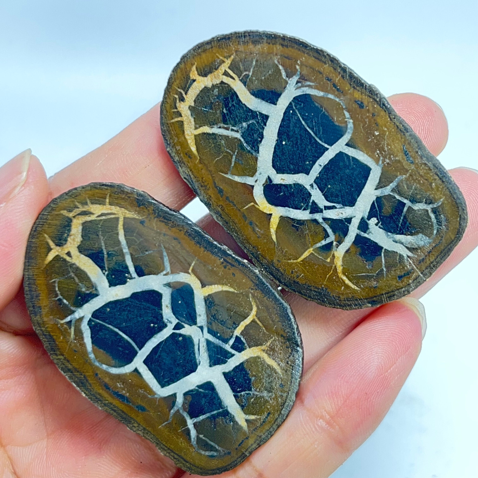 62G Natural Crystal Moroccan Turtle Back Stone Cutting Quartz Energy Spirit
