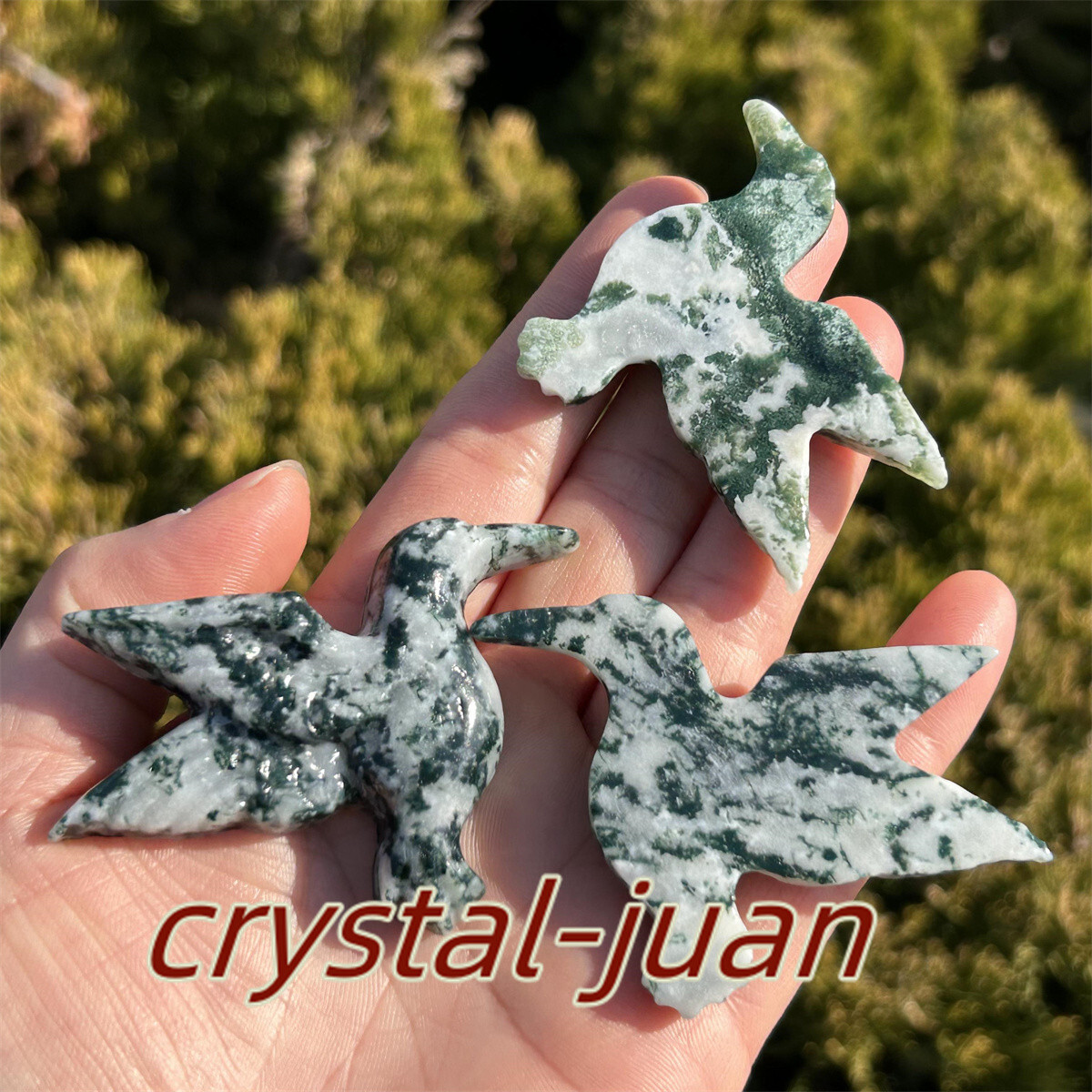 2″+ Natural Aquatic agatet hummingbird skull Carved Quartz Crystal skull heal