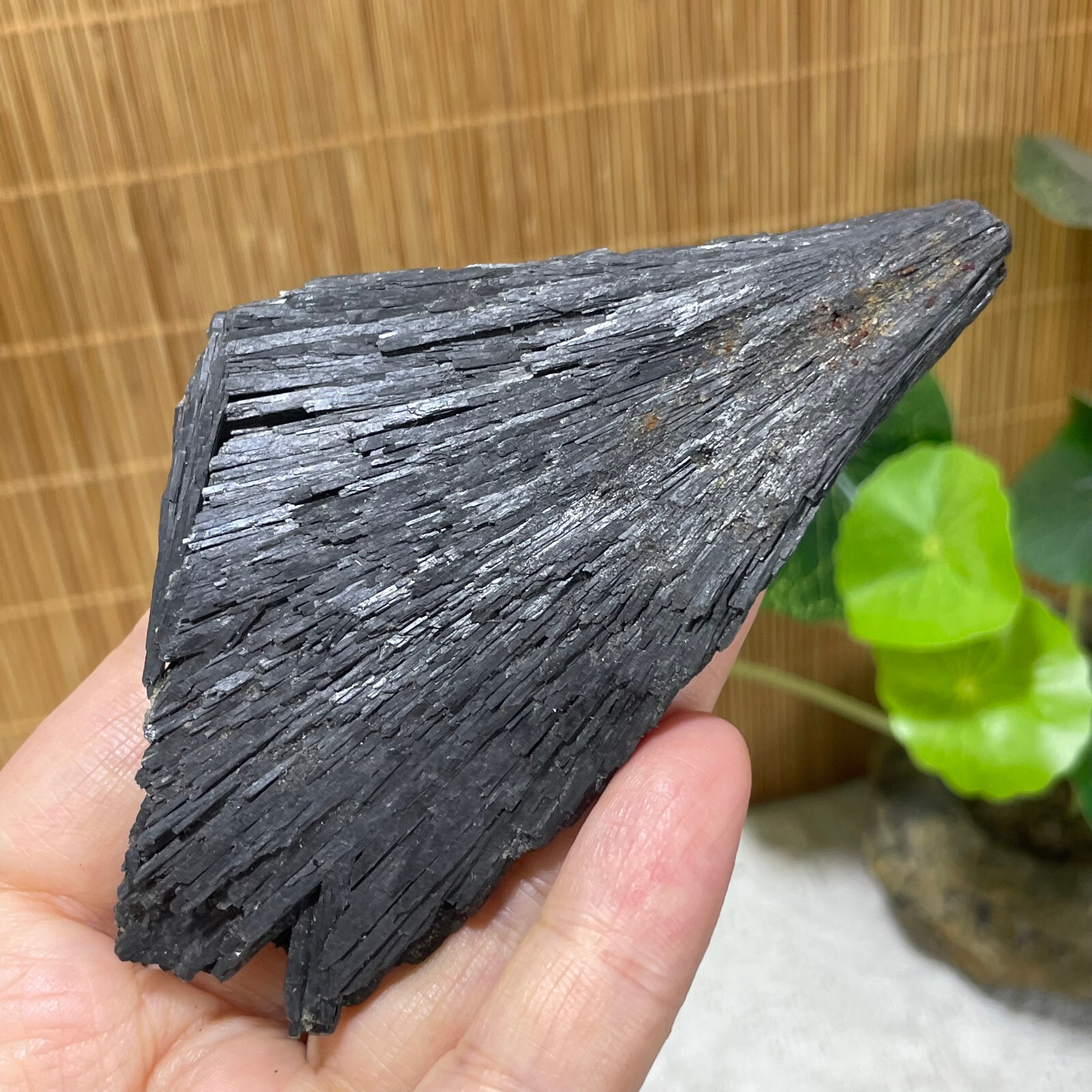 75g Natural Irregular natural black crystal cluster mineral specimen（dian qishi）