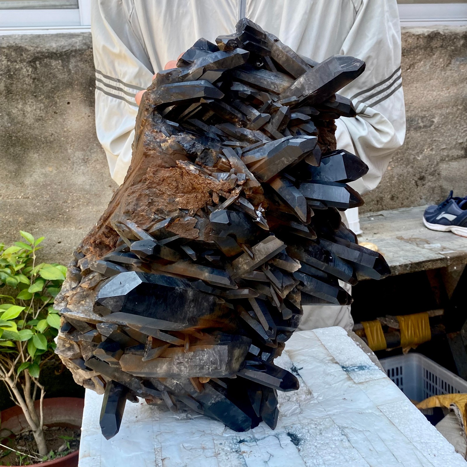 57LB Tea black Crystal quartz Cluster Mineral Specimen Healing reiki