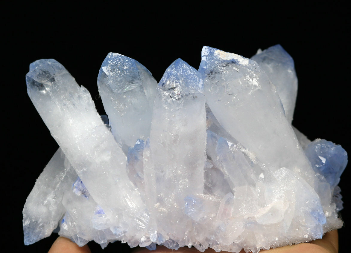 1.69lb Rare Beatiful Blue Tibetan Ghost phantom Quartz Crystal Cluster Specimen