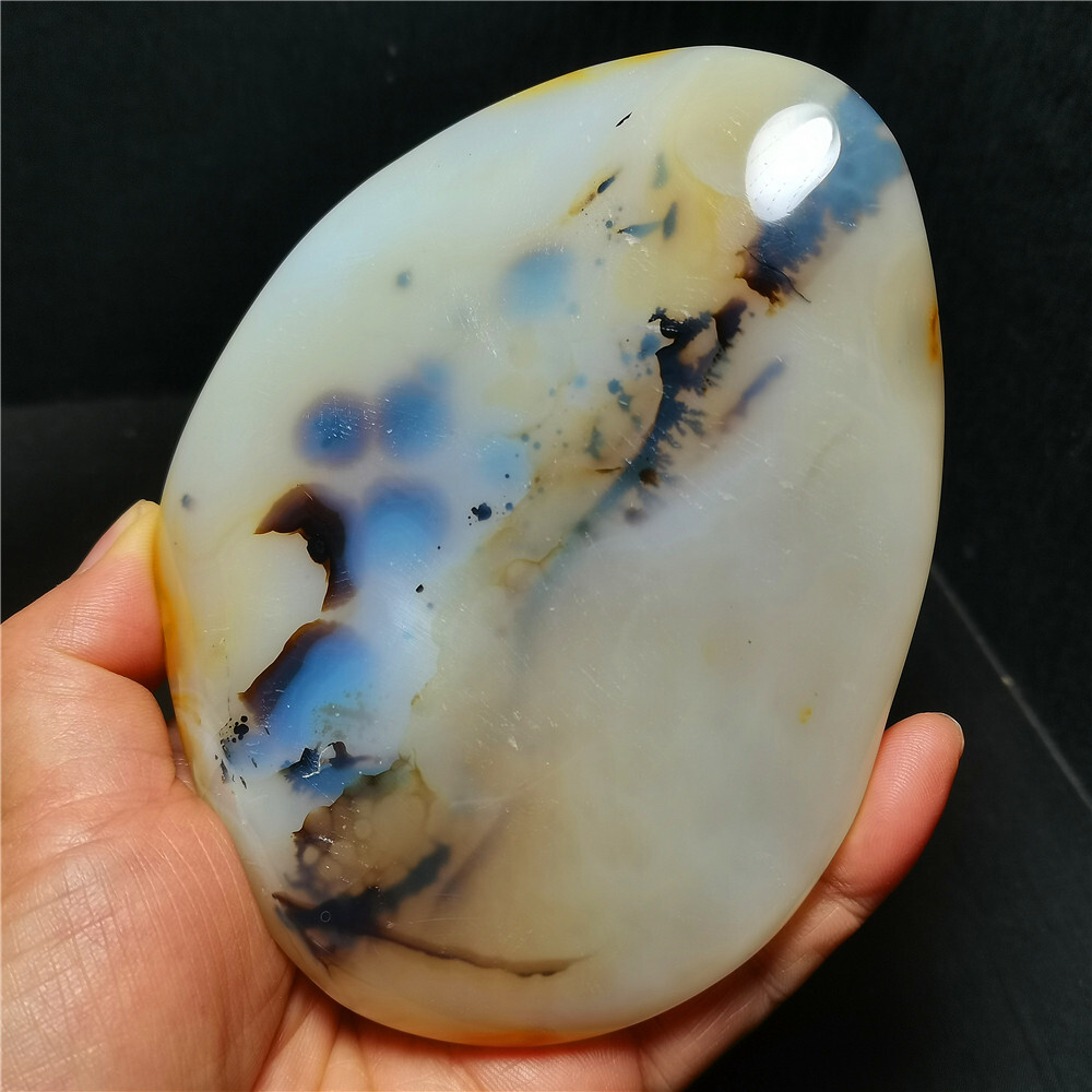 TOP 384 G Natural Polished Aquatic Plants Agate Crystal Madagascar BY384