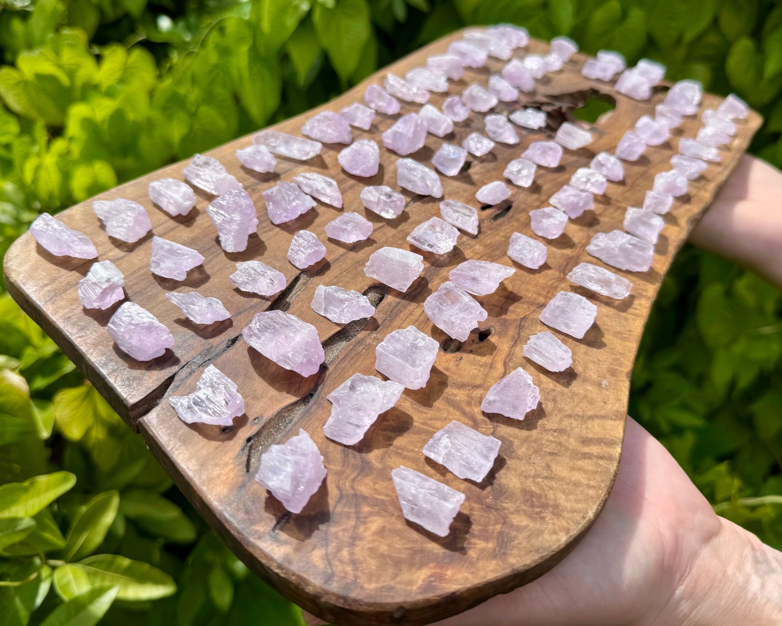 Natural Kunzite Crystals, Raw Pink Kunzite Gemstones Wholesale Bulk Lots