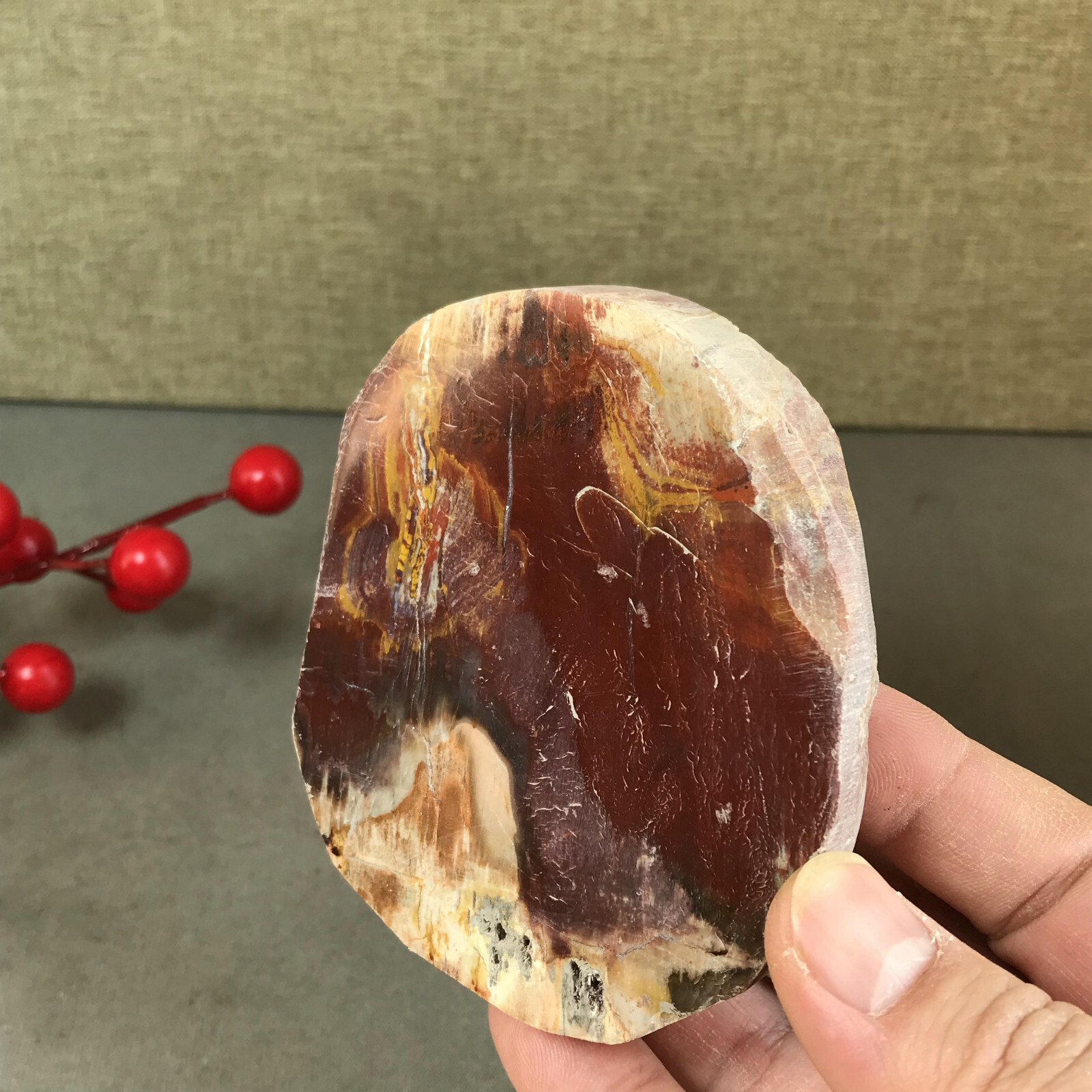 92mm natural Beautiful Petrified Wood Crystal Slice mineral specimen 266g A5424