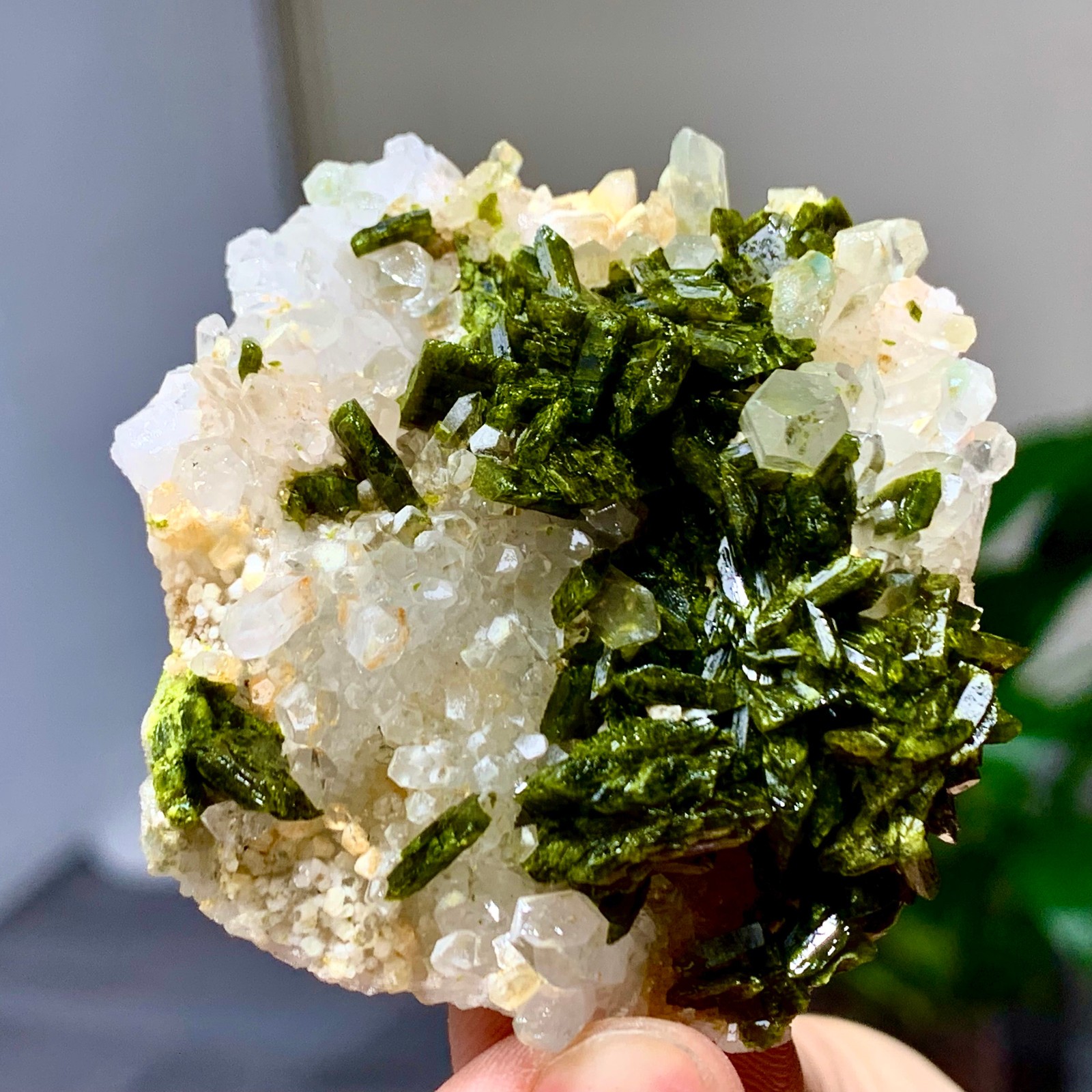 46g Natural Garden quartz cluster specimen tourmaline mineral healing SiChuan