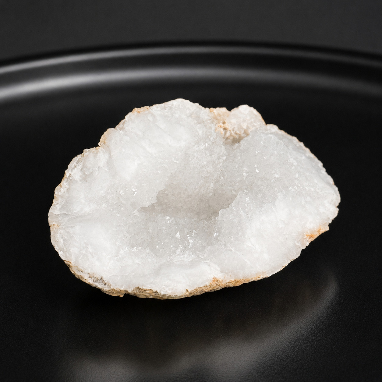 White Quartz Druzy Geode Half, Fossilized Coral Host Rock, Crystal Lined Cavity