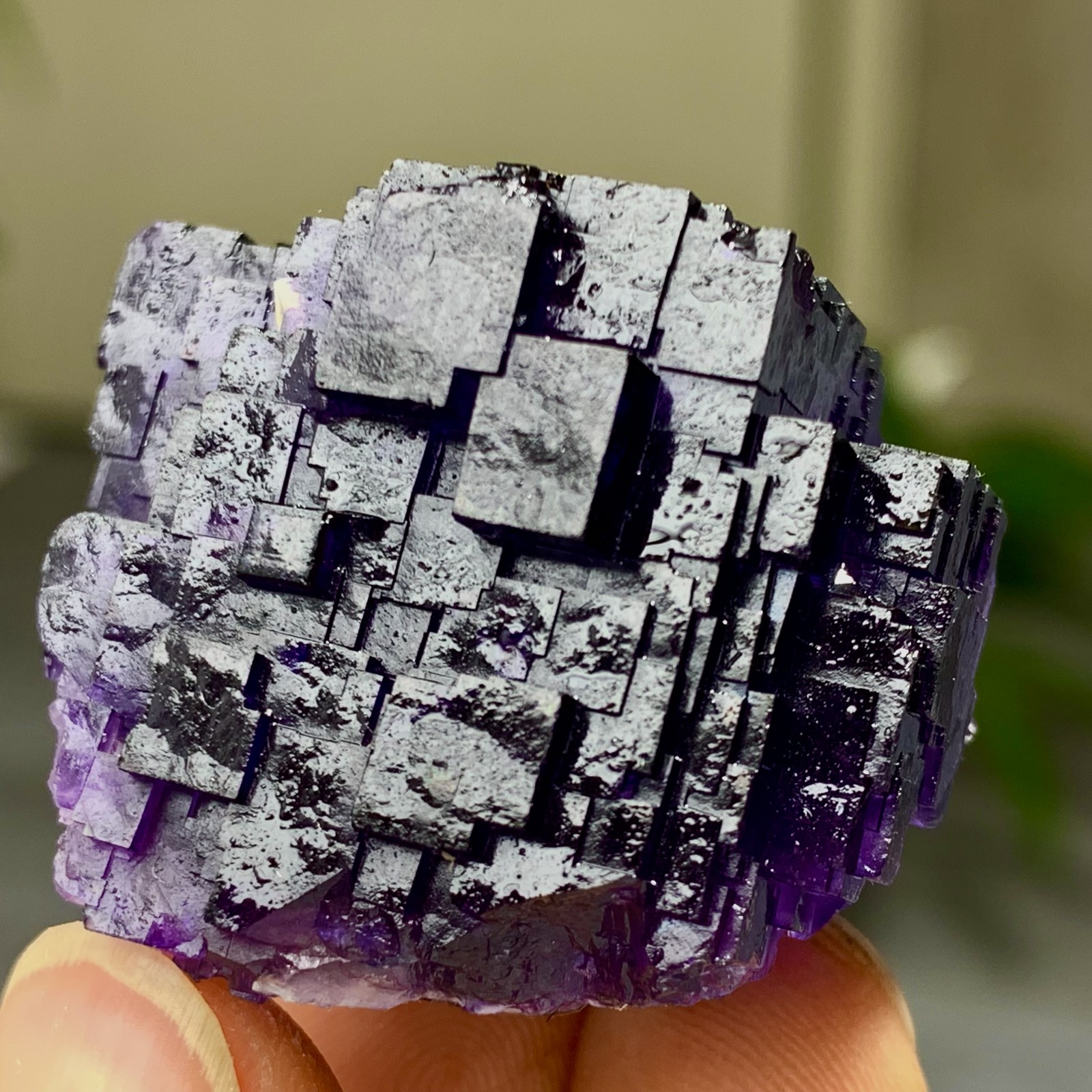 40G Natural purple framed cubic fluorite mineral specimen/Inner Mongolia