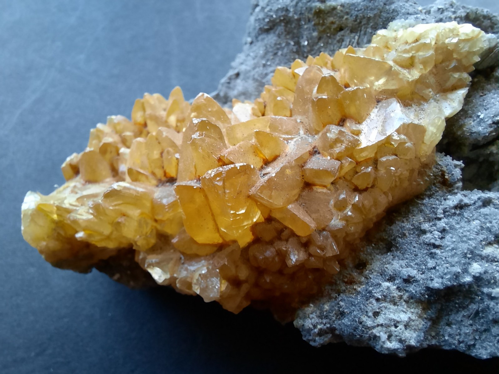 Golden Yellow Honey Calcite Crystals on Fossil Mangrove Clam Shell Rucks Pit