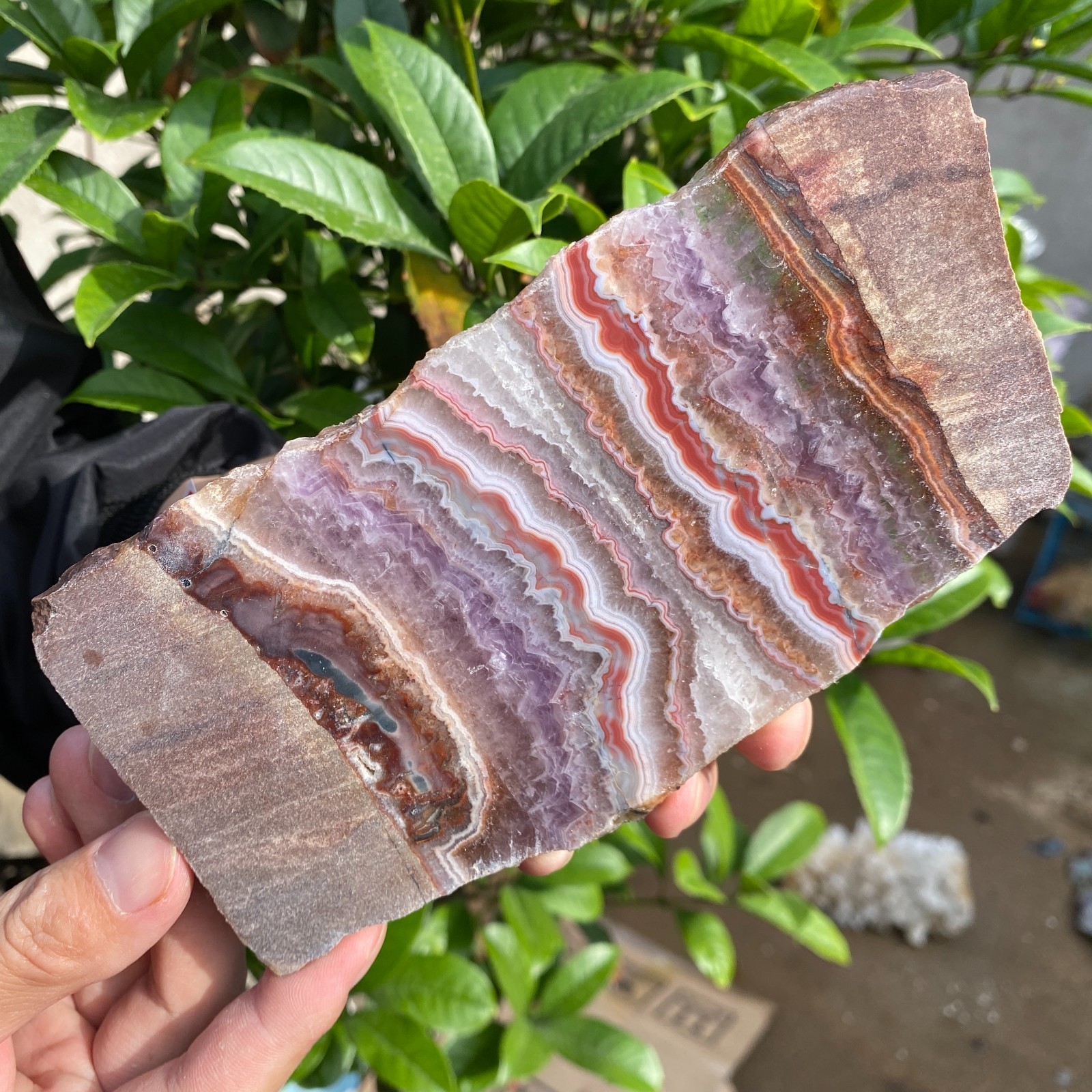 290g Natural Rare Amethyst Lace Agate Slab Quartz Crystal Reiki Healing