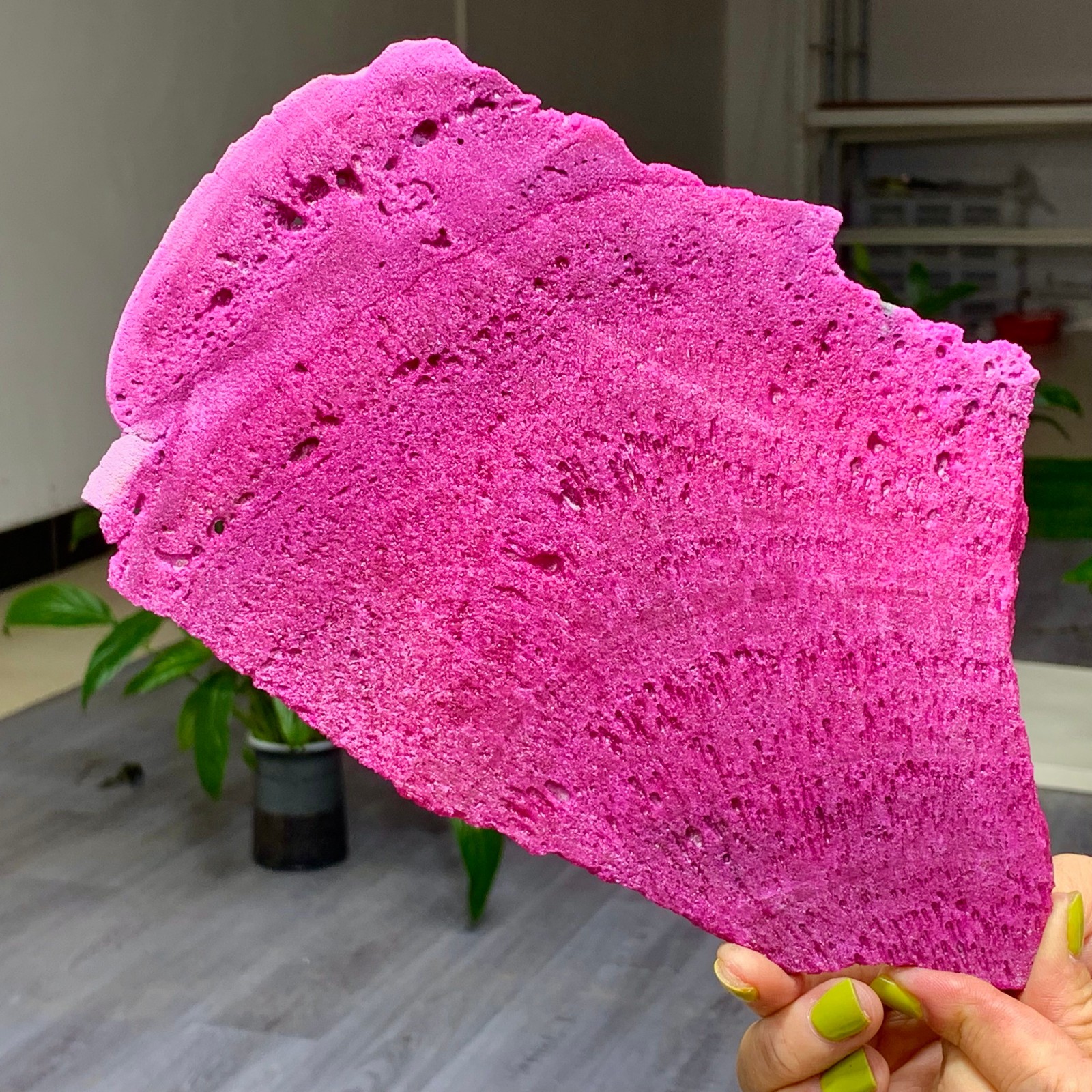 1.14LB Natural Rough Red Corundum Phlogo Pit Mineral Spirits Ruby Raw Gemstone