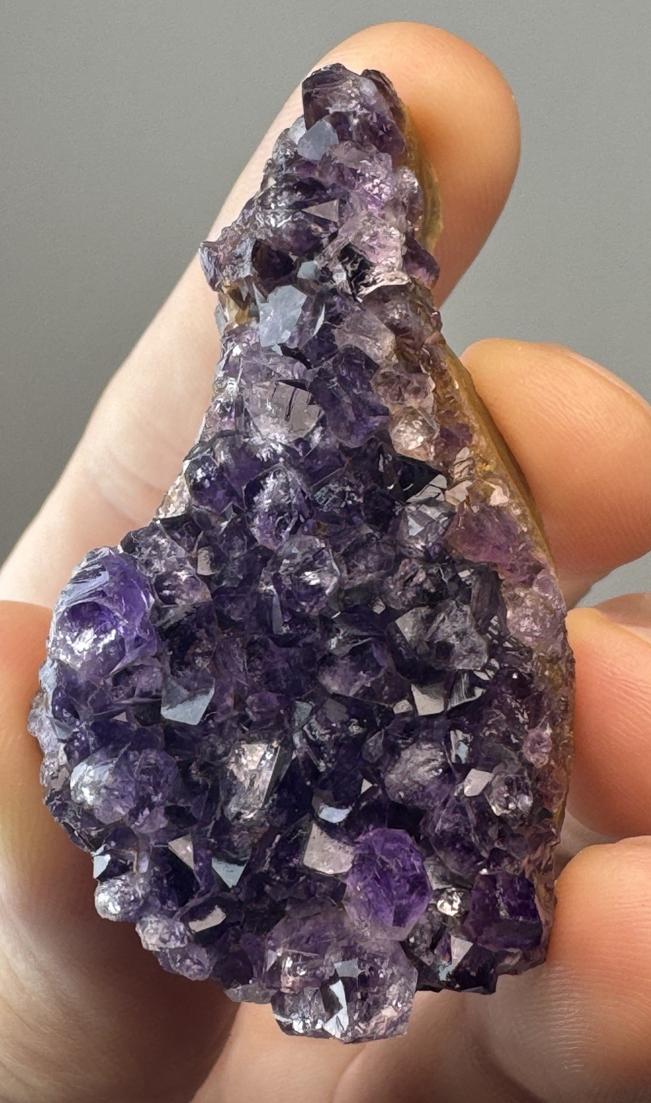 Druzy Deep Royal Purple Amethyst Collector 5 Piece Cluster Set From Brazil