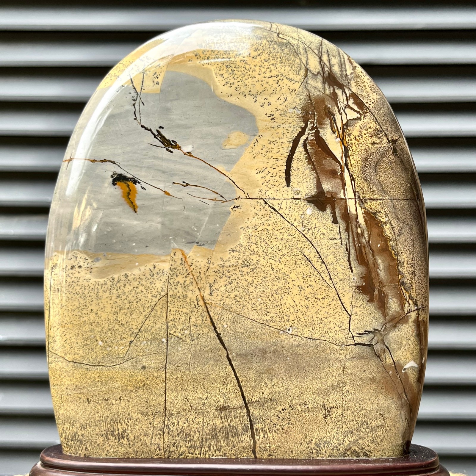 823 g Natural Pattern Stone Scenic Polished Display Art w/ Base