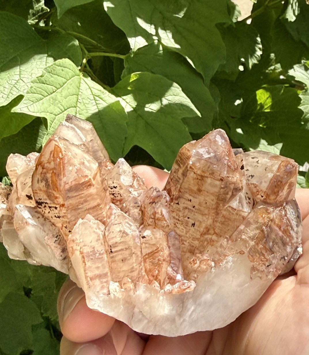 Phantom Hematite Quartz Crystal Cluster Red Feather 11cm – 387 g – ID70