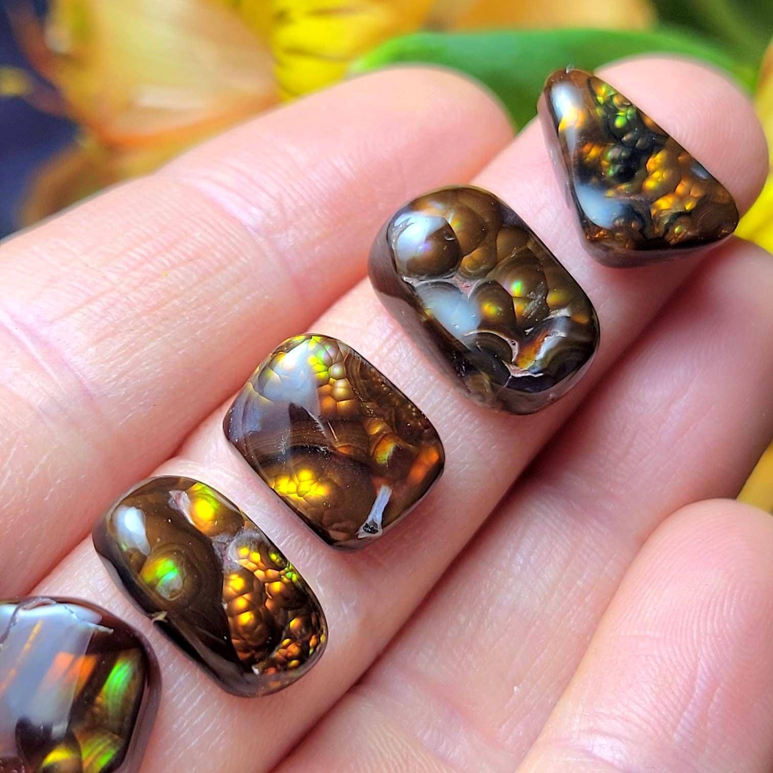 Mexican Fire Agate, Rainbow Fire Agate Polished Specimens, Cabochon