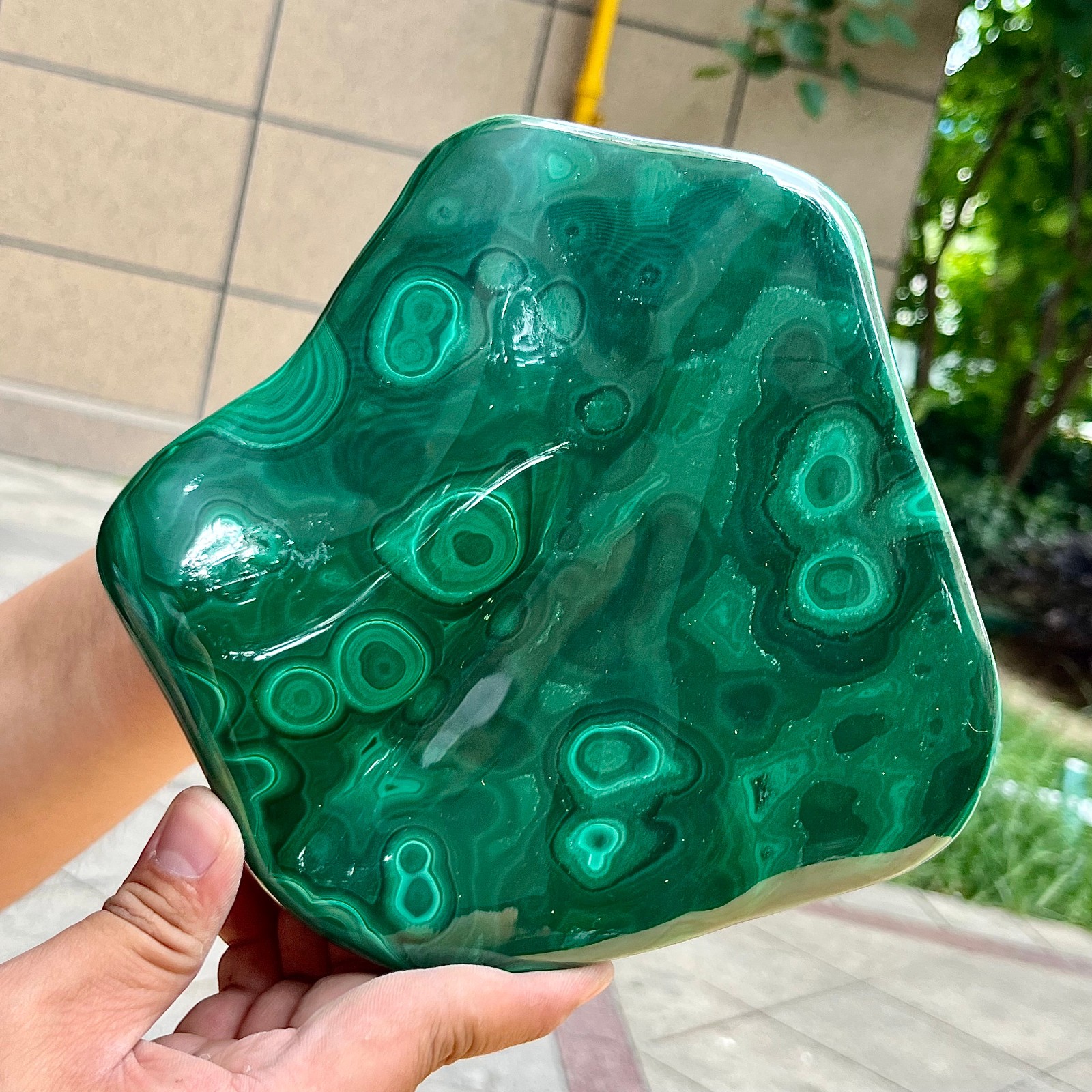 3.9 lb Authentic Malachite Stone Half Polish Half Raw Natural Patterns