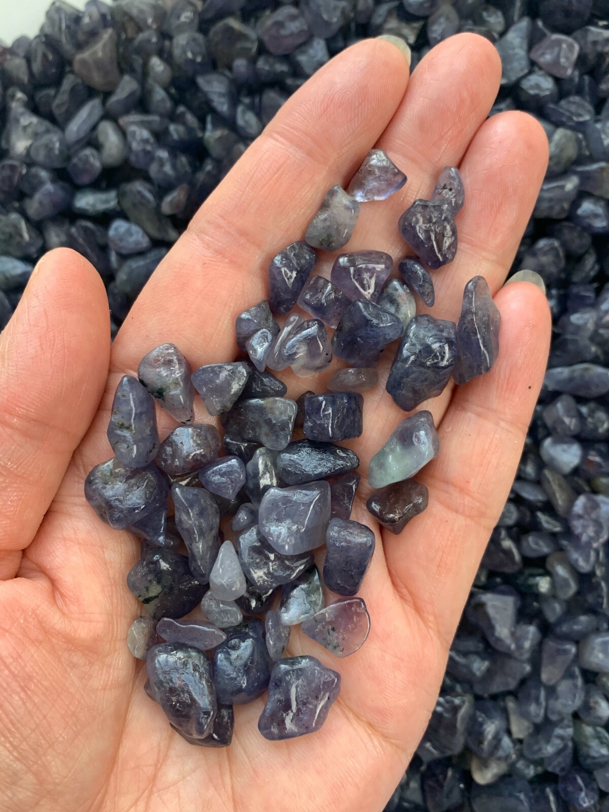 Grade A++ Iolite Semi Tumbled Gemstone Mini Chips 5 – 18 mm, Wholesale Bulk Lot