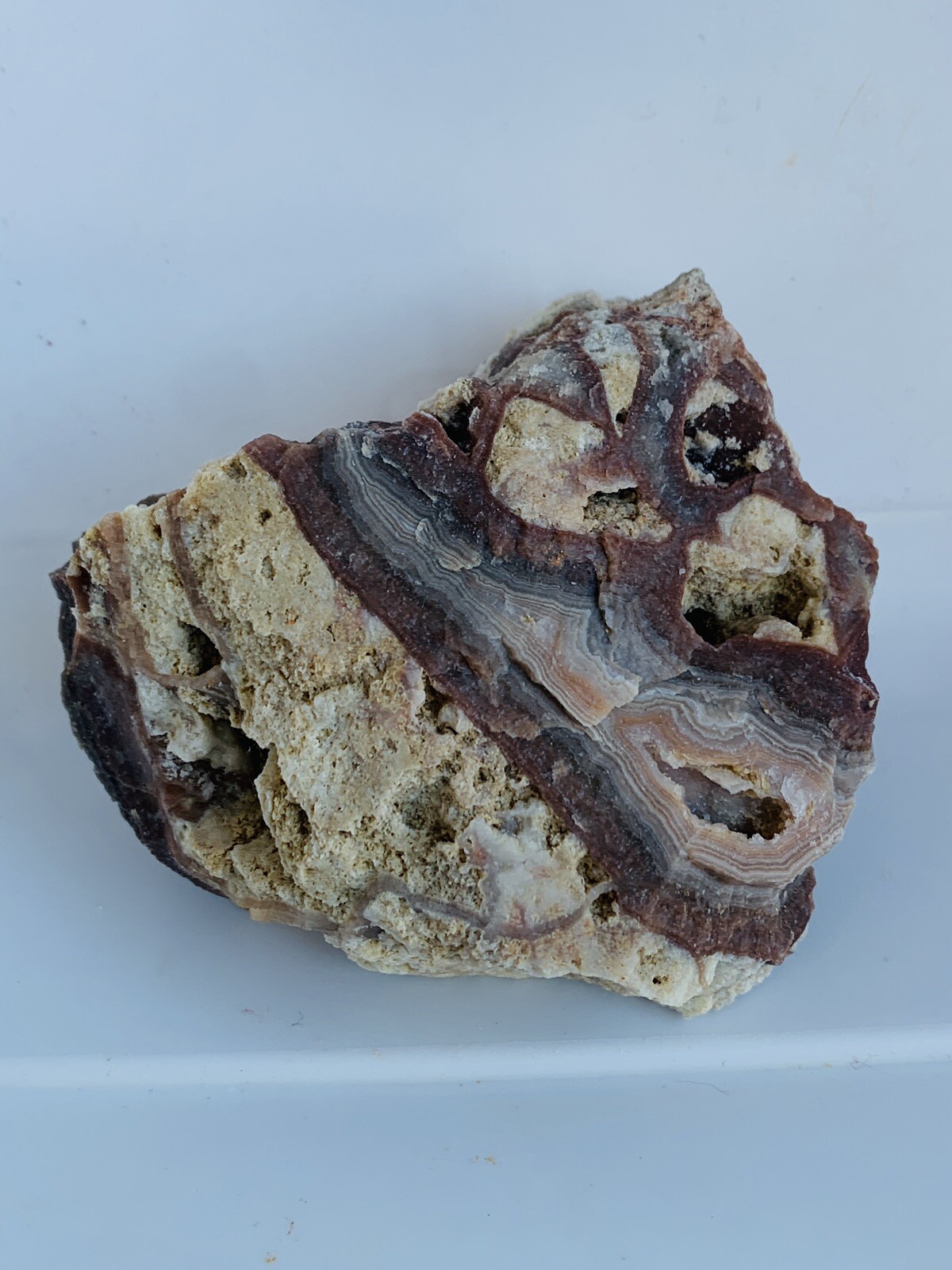 Lace Agate. Crystals Gemstones Rocks Minerals