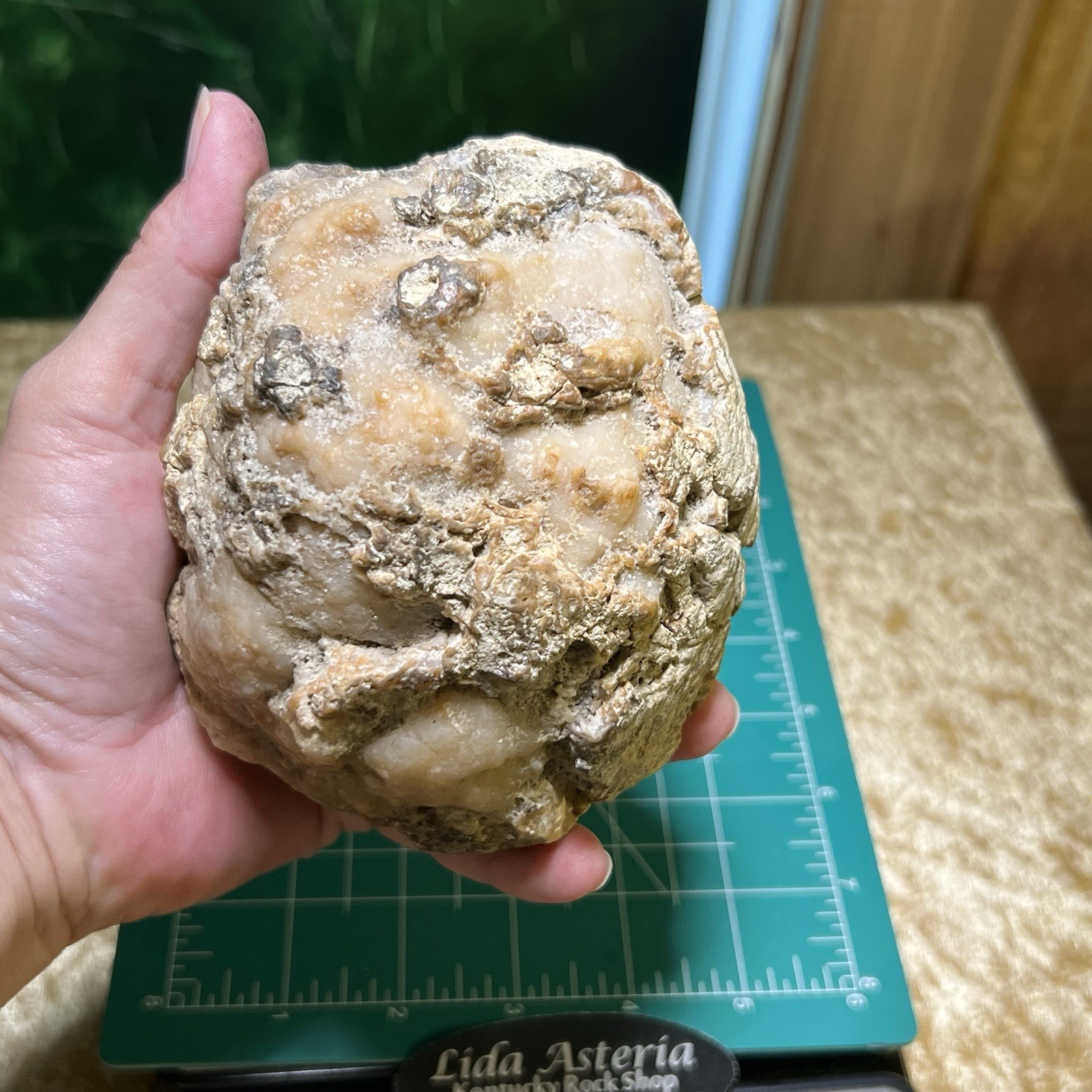 4-3/4″ Uncut Geode Quartz Crystal Chalcedony Unopened Non Rattling Solid 3Lb