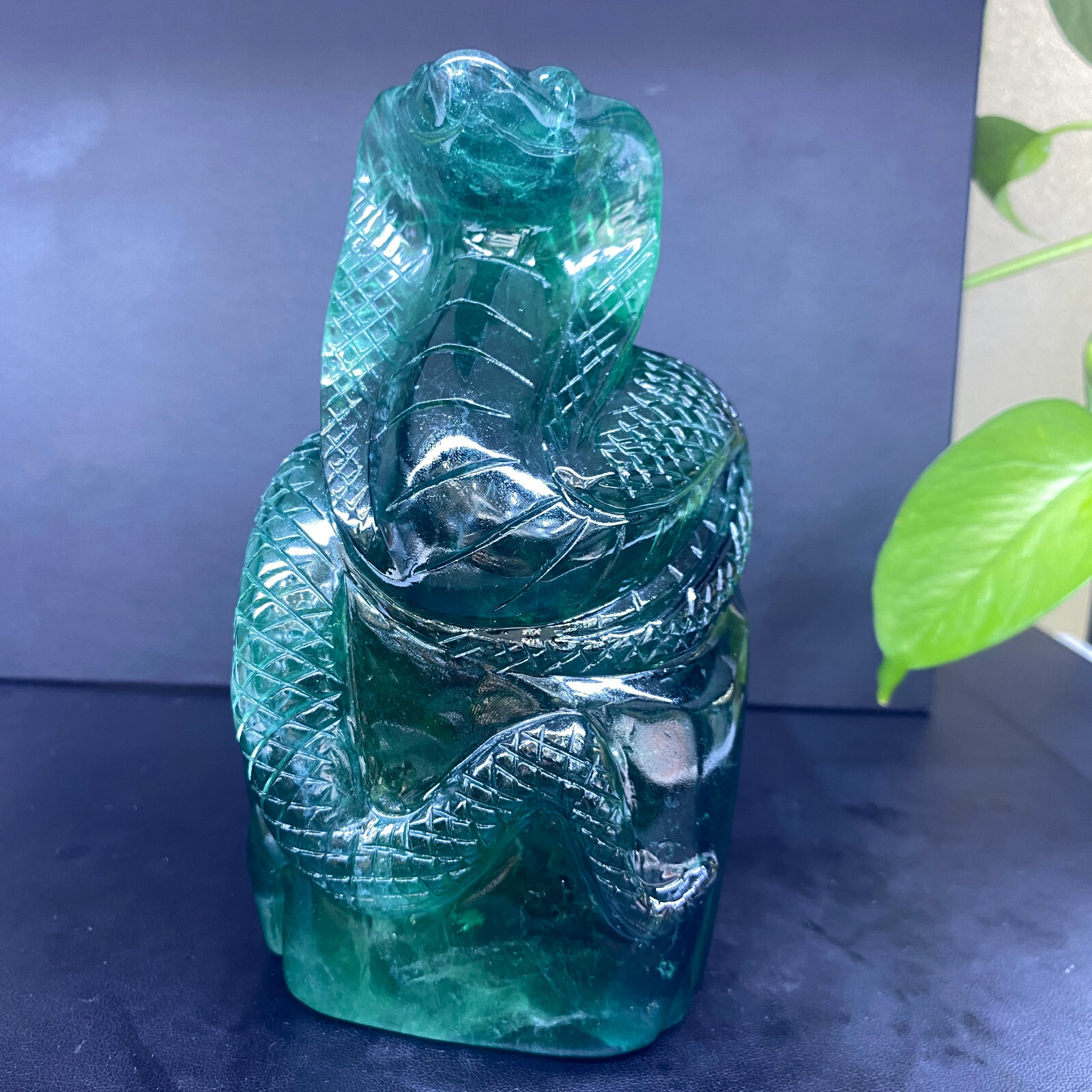 1pc Natural fluorite Quartz Carved Snake Skull Crystal Reiki Healing Gem Decor