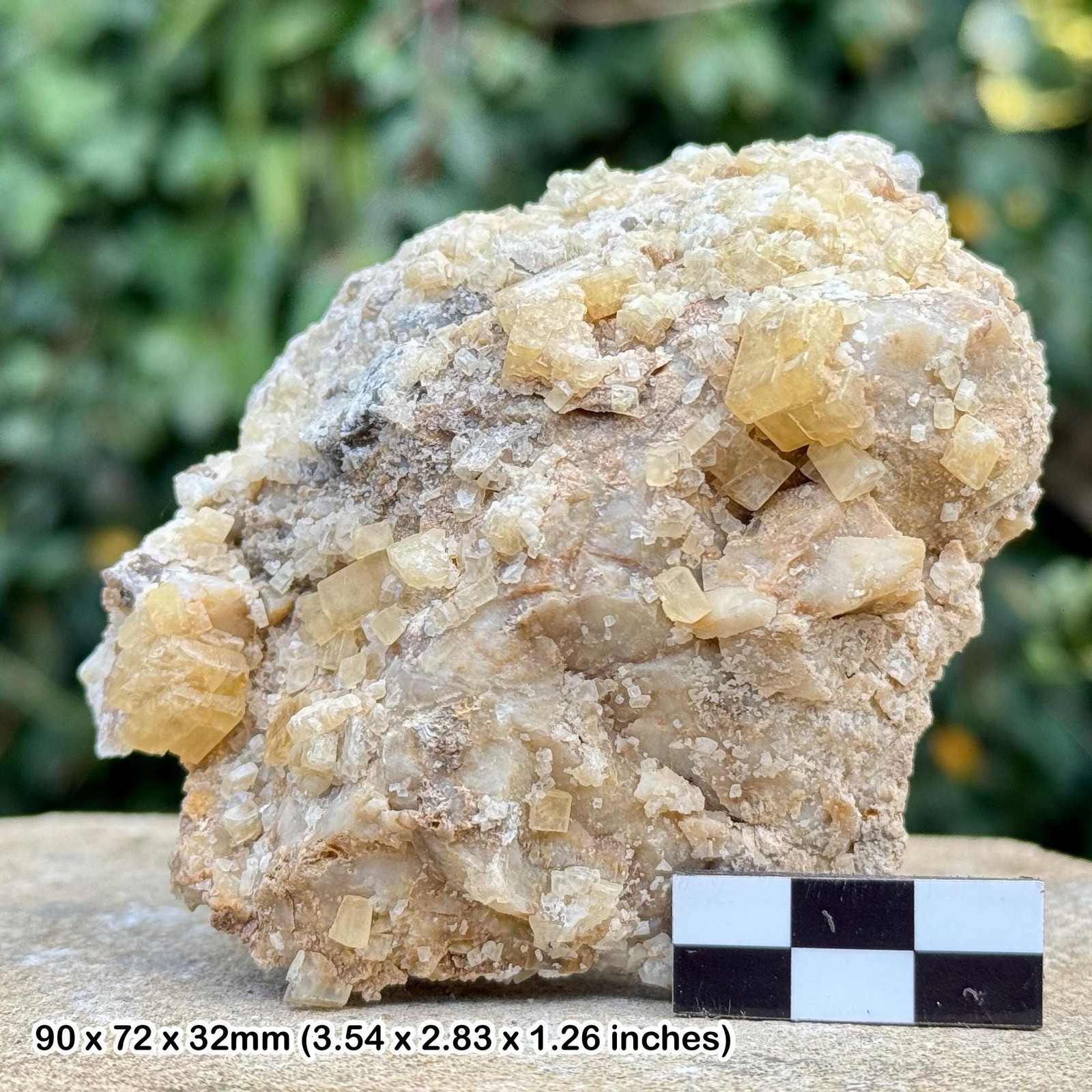 Baryte Crystal Chatel Guyon Auvergne France Natural Barite Specimen From Alice