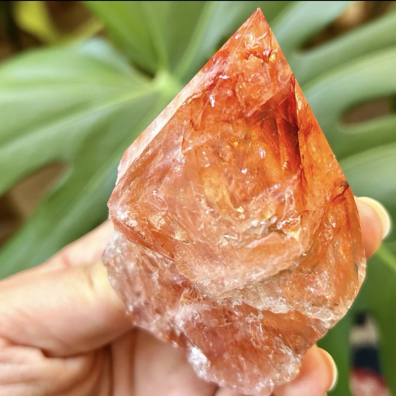 Fire Quartz Half Polished Point Natural Crystal Gemstone