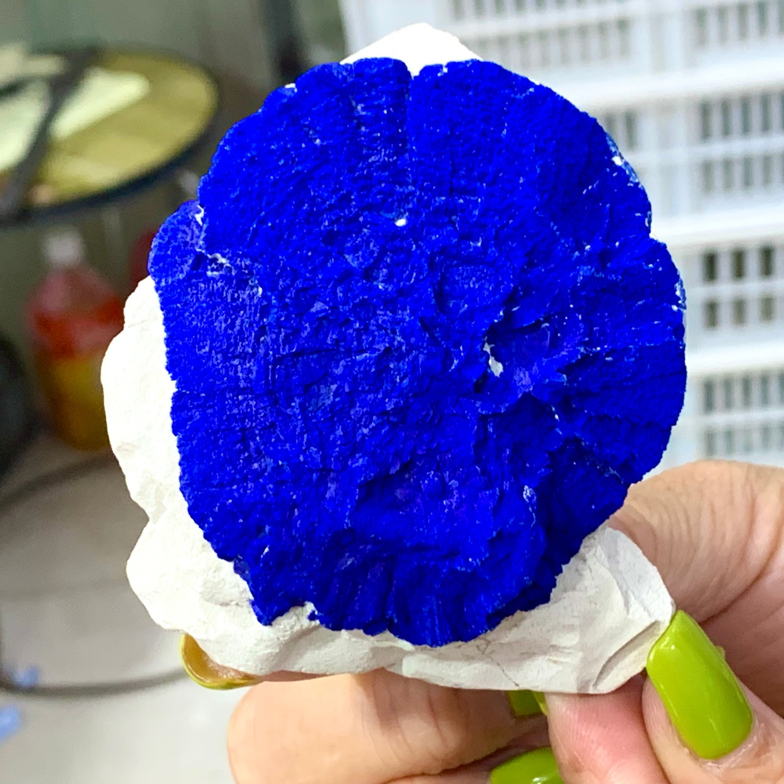 147G Sunflower azurite Fantastic Azurite Suns On Kaoline from Malbunka Australia
