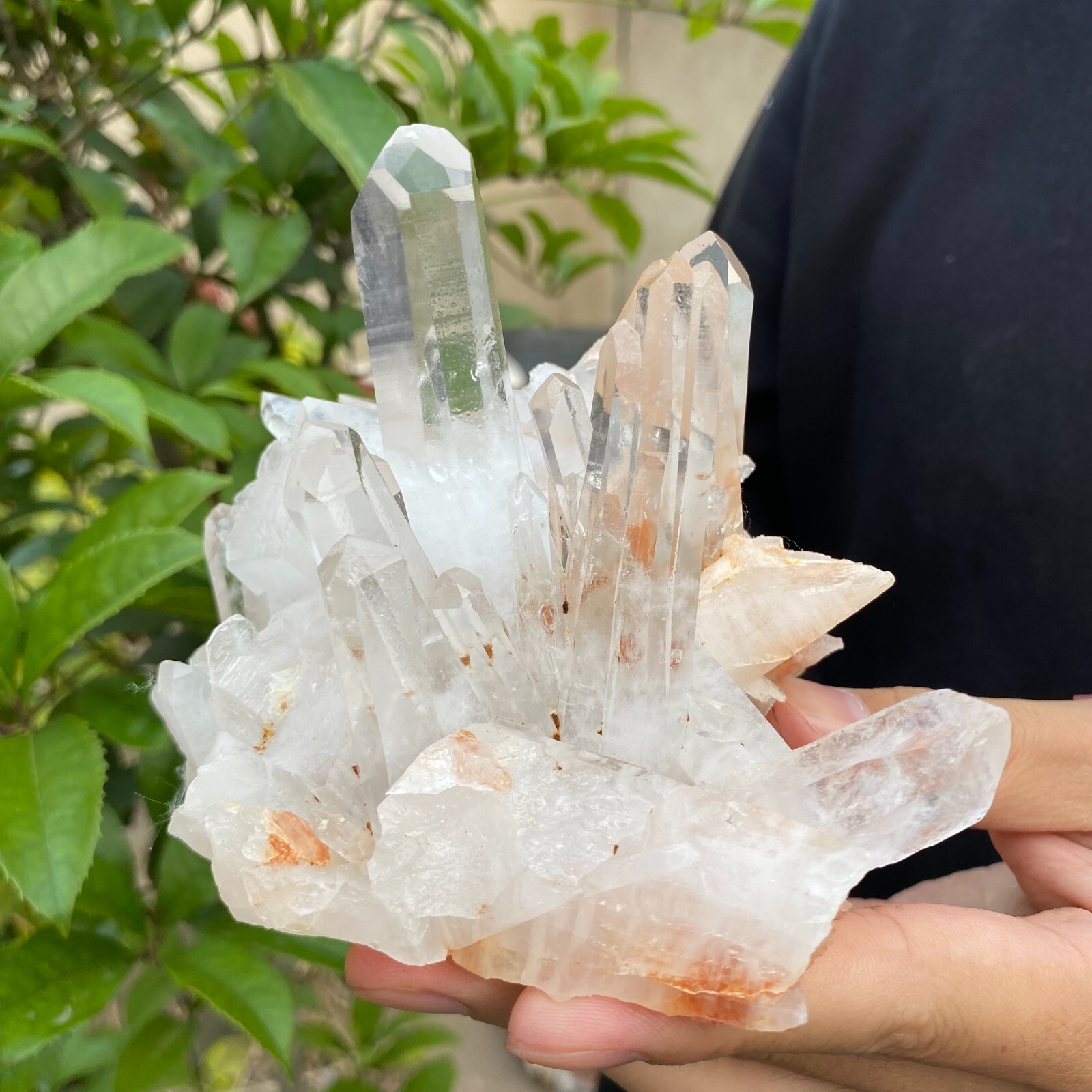 1.6lb Natural Clear White quart Crystal Cluster Raw Healing Specimen