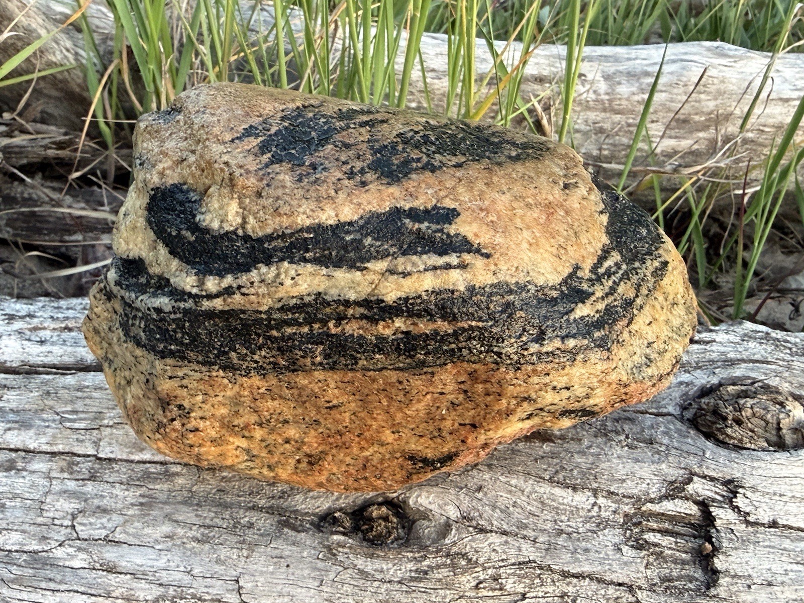 Natural Lake Michigan Rock Granite Large LOOK! 👀 3lb+ READ CAREFULLY