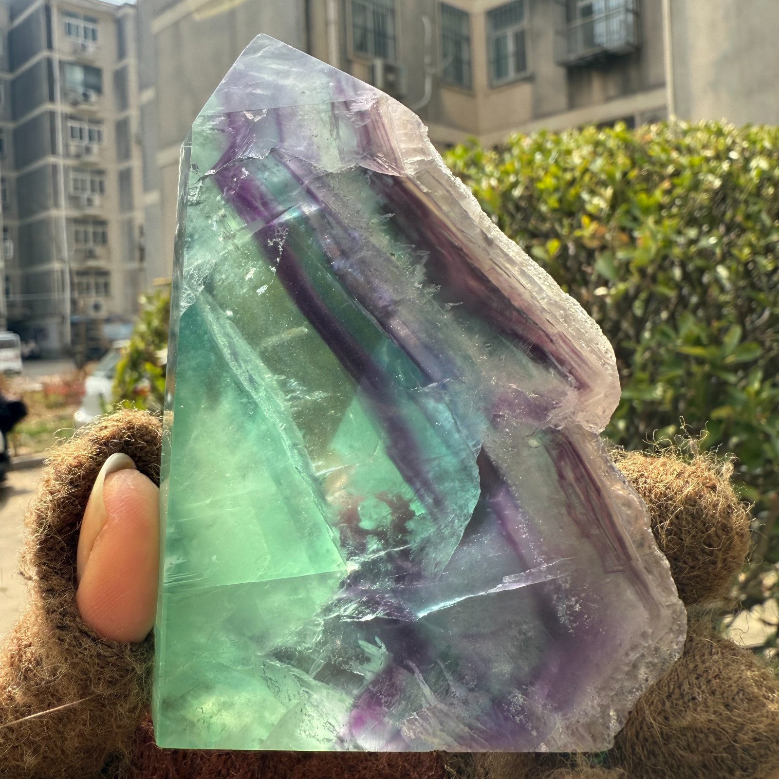 290g Natural Watermelon Fluorite Slice Mineral Crystal Healing