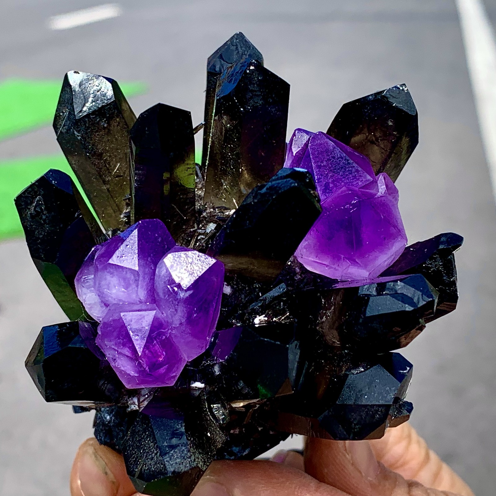 268G New Find black+purple Phantom Quartz Crystal Cluster Mineral Specimen