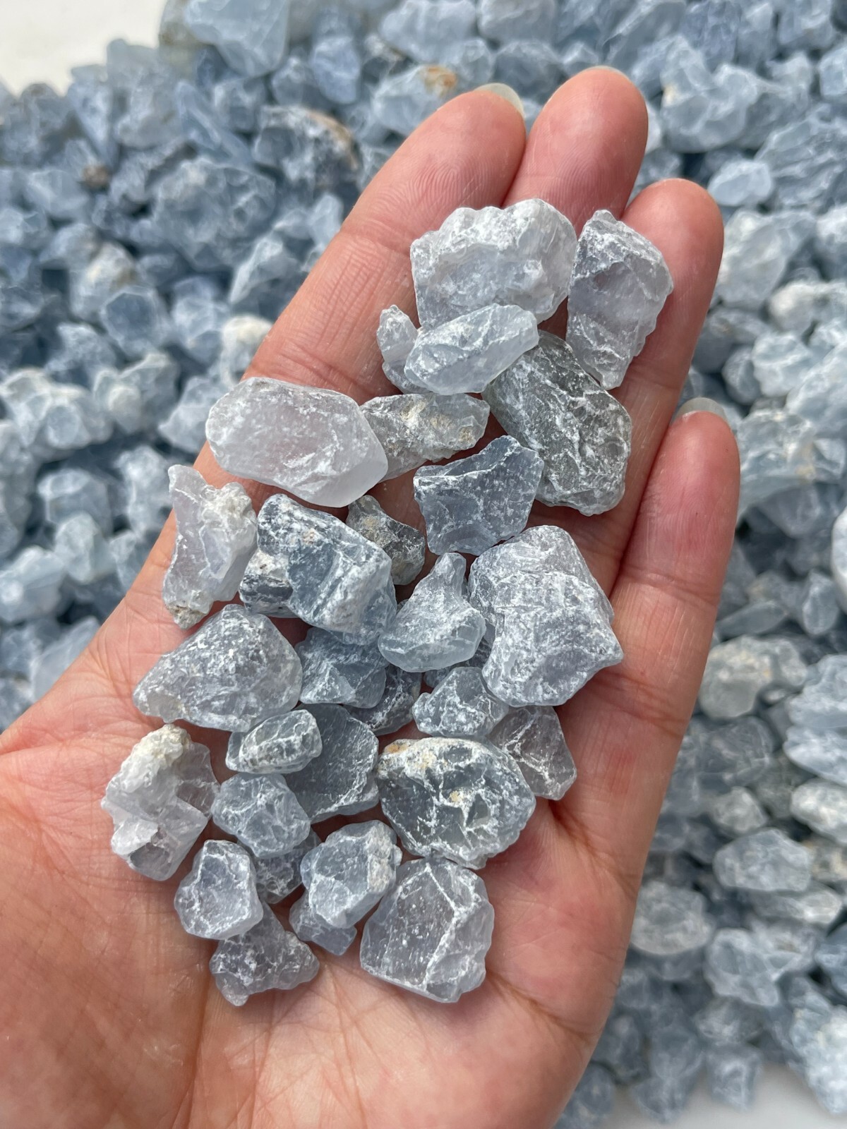 Raw Celestite Rough Stones, Small Rough Celestite, Blue Crystals, Wholesale Lot