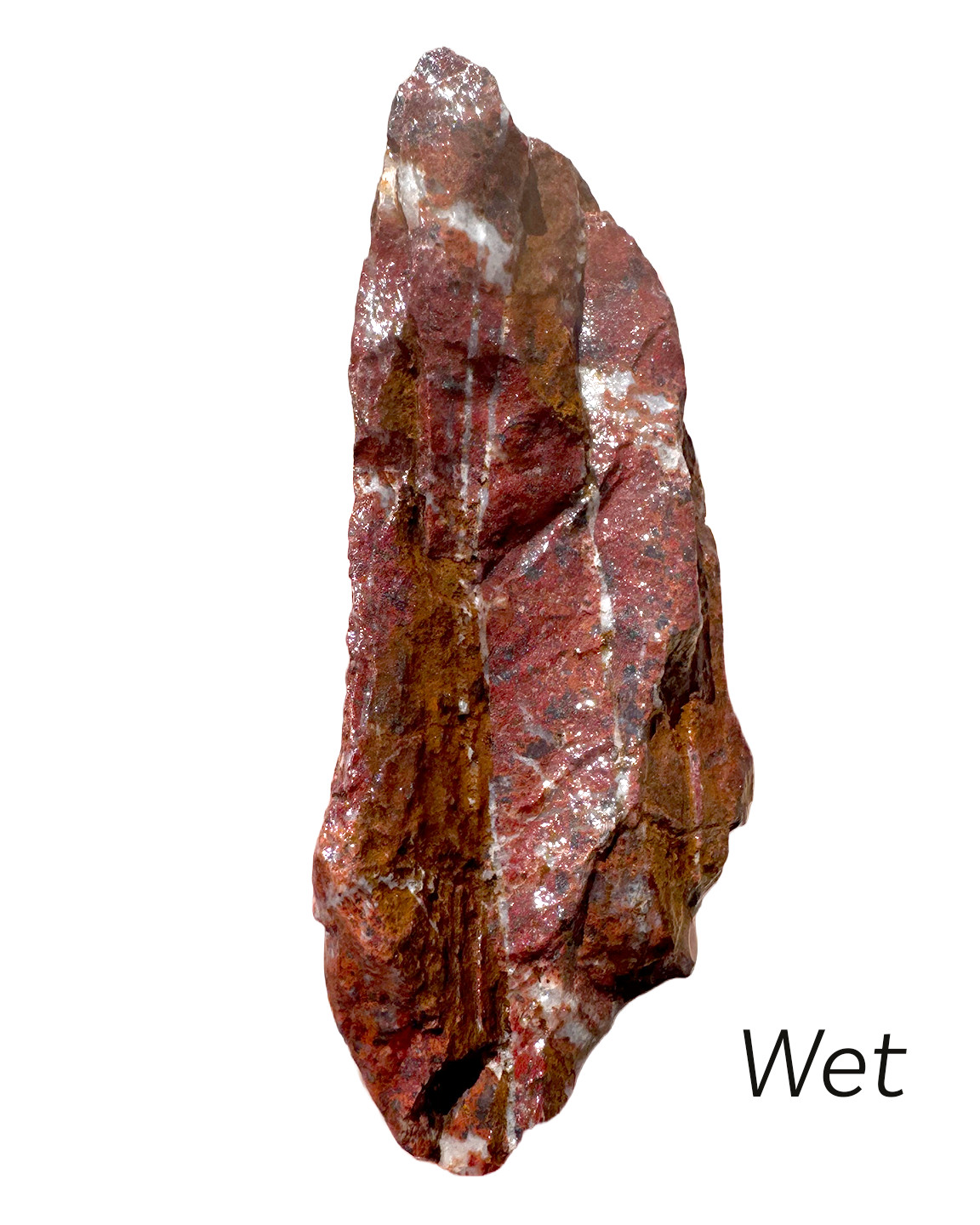 12 oz Rough Red Jasper with Hematite & Quartz Vivid Color from Arizona