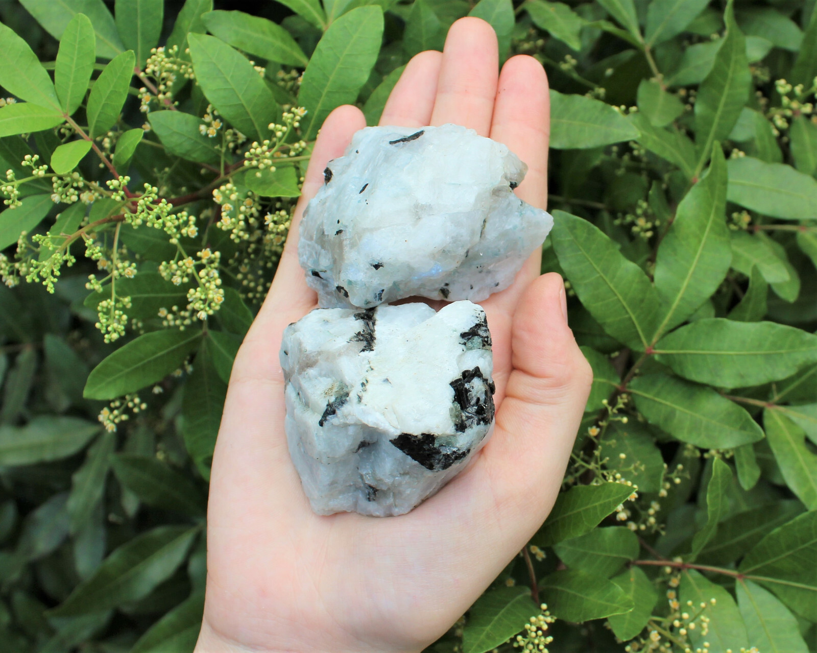 LARGE Rough Rainbow Moonstone Chunks, 2″ – 3″ Choose Amount (Raw Jumbo Crystal)