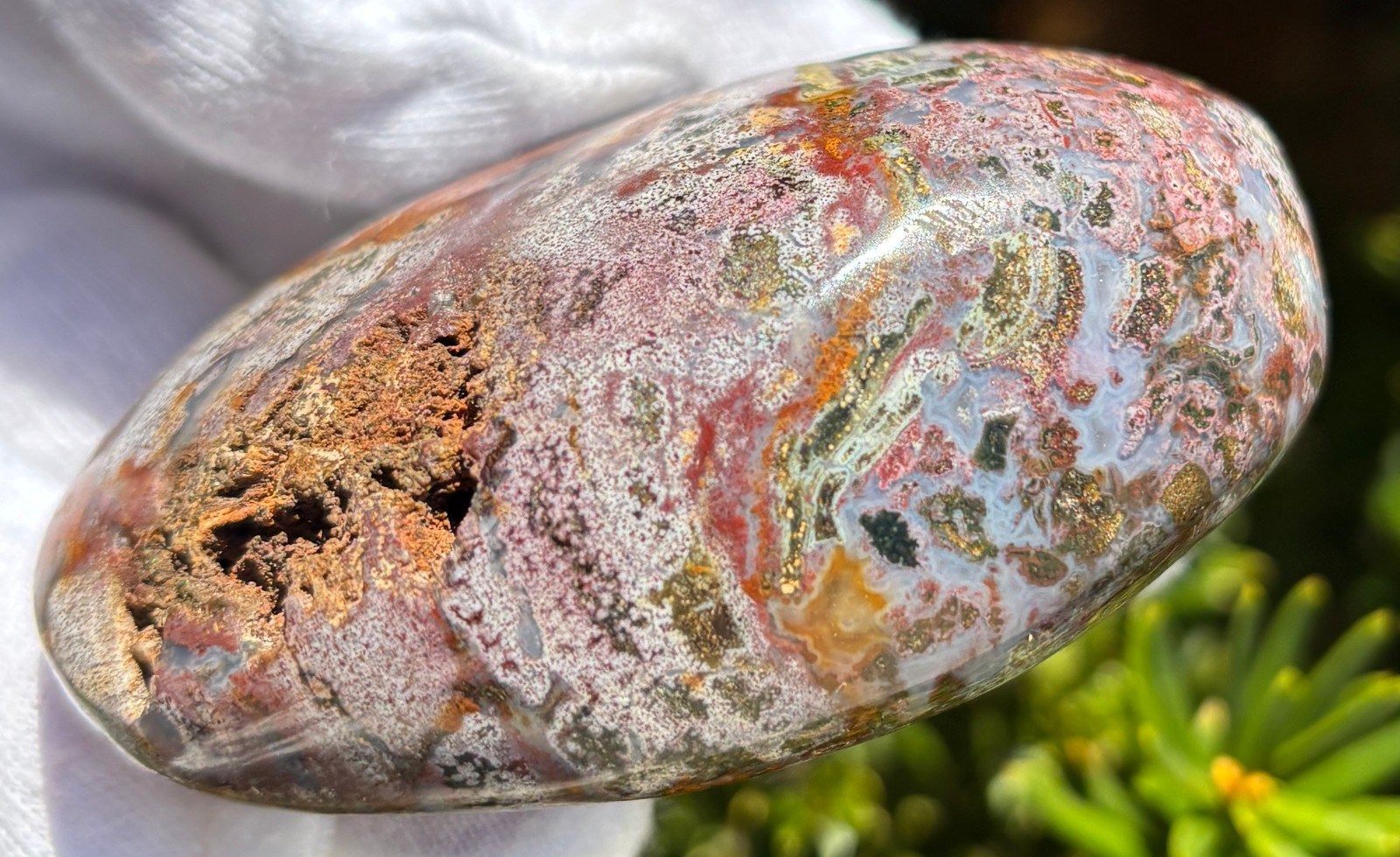 USA SALE 242g LOT OCEAN JASPER OJ PALMSTONES PALM STONES Palm Stone