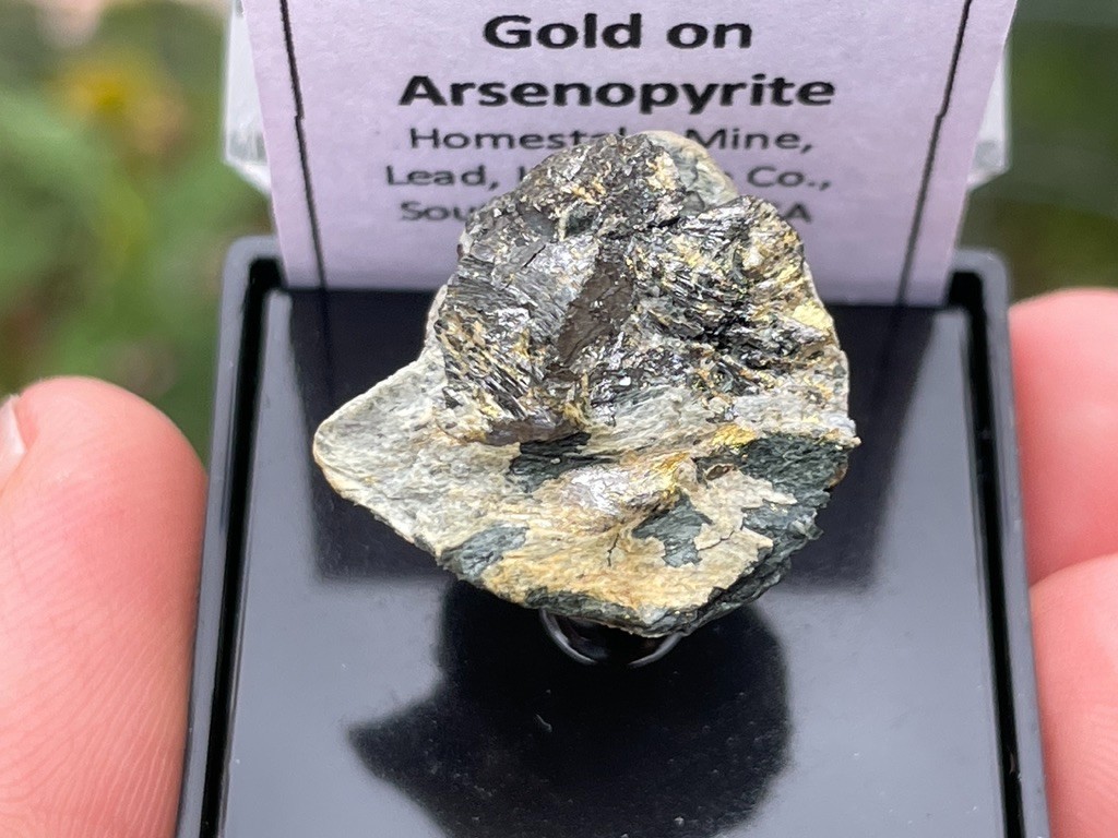 Native Gold on Arsenopyrite, Homestake Mine, Lead, Lawrence Co., South Dakota