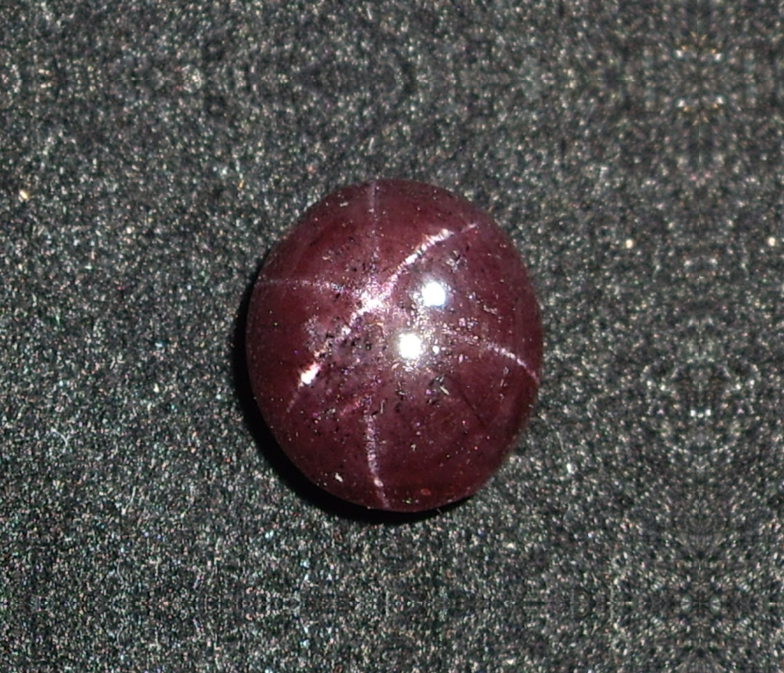 Star Garnet Polished Cabochon, 7.8cts