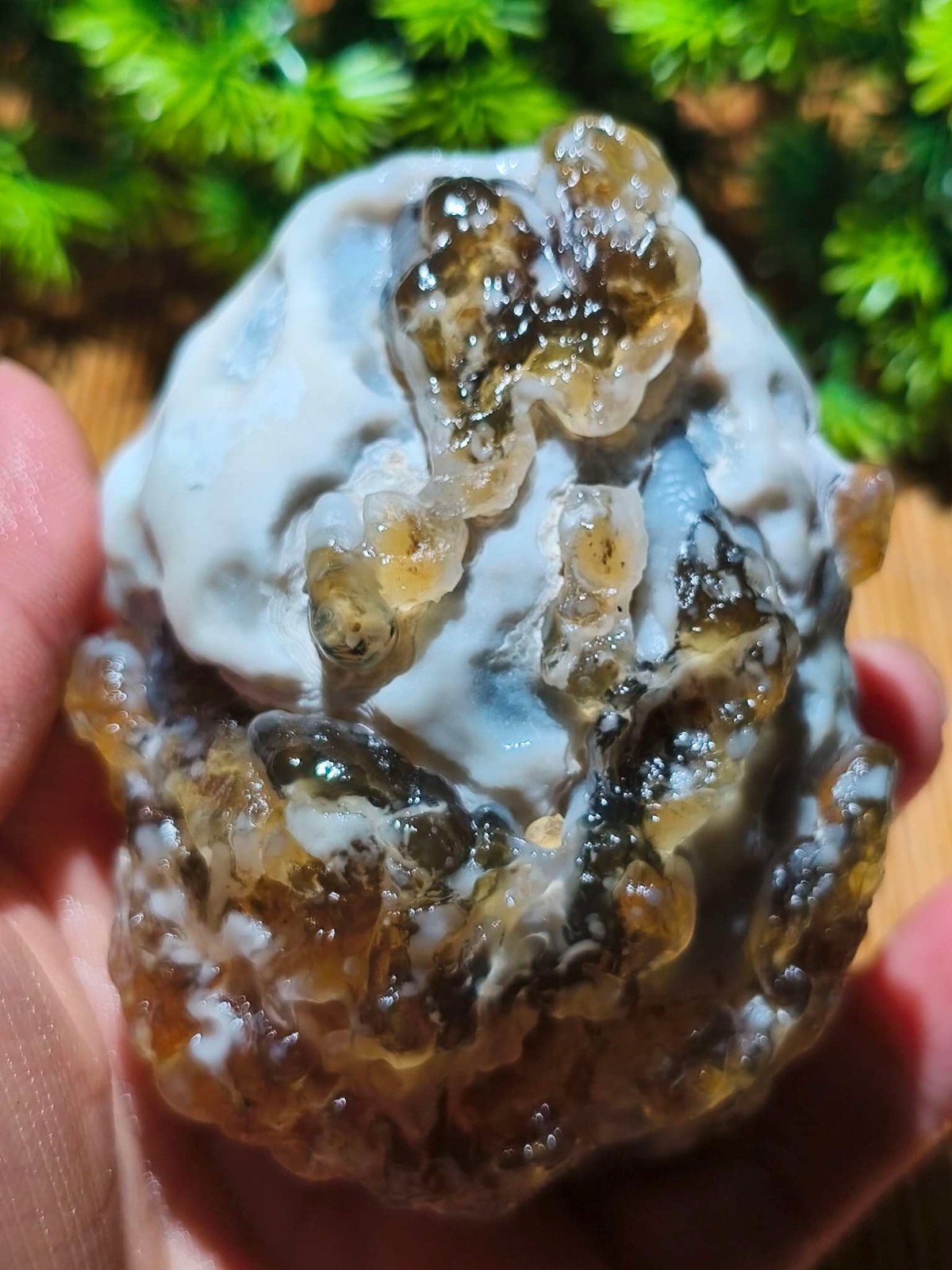 Rare China Inner Mongolia Gobi Eye Agate Stone Specimen Natural Designer 242G