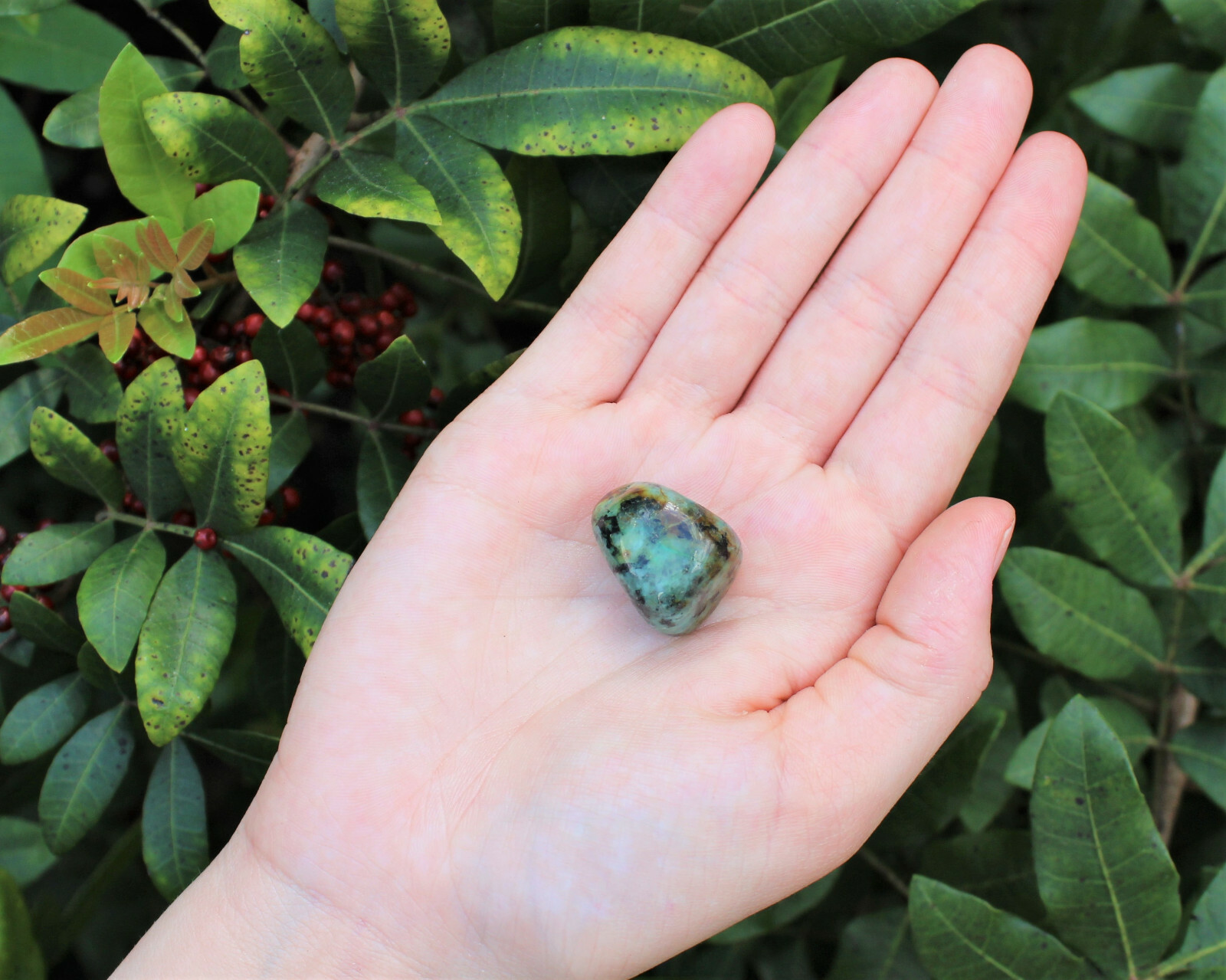 African Turquoise Tumbled Stones: Choose Ounces or lb Bulk Wholesale Lots