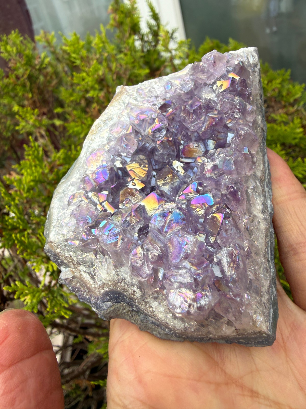 Amethyst Titanium Aura Crystal cluster rough raw Healing confidence Flashes