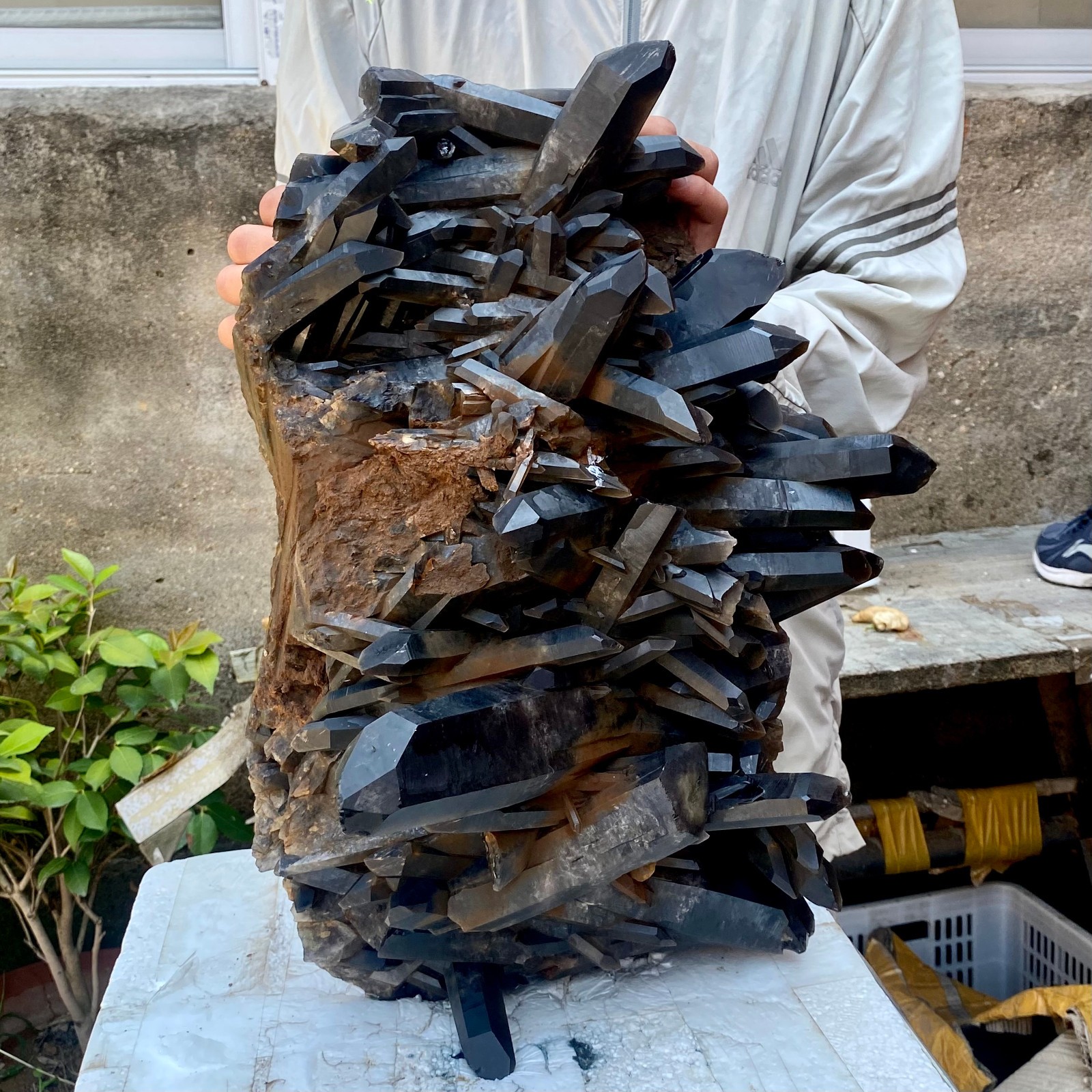 57LB Tea black Crystal quartz Cluster Mineral Specimen Healing reiki