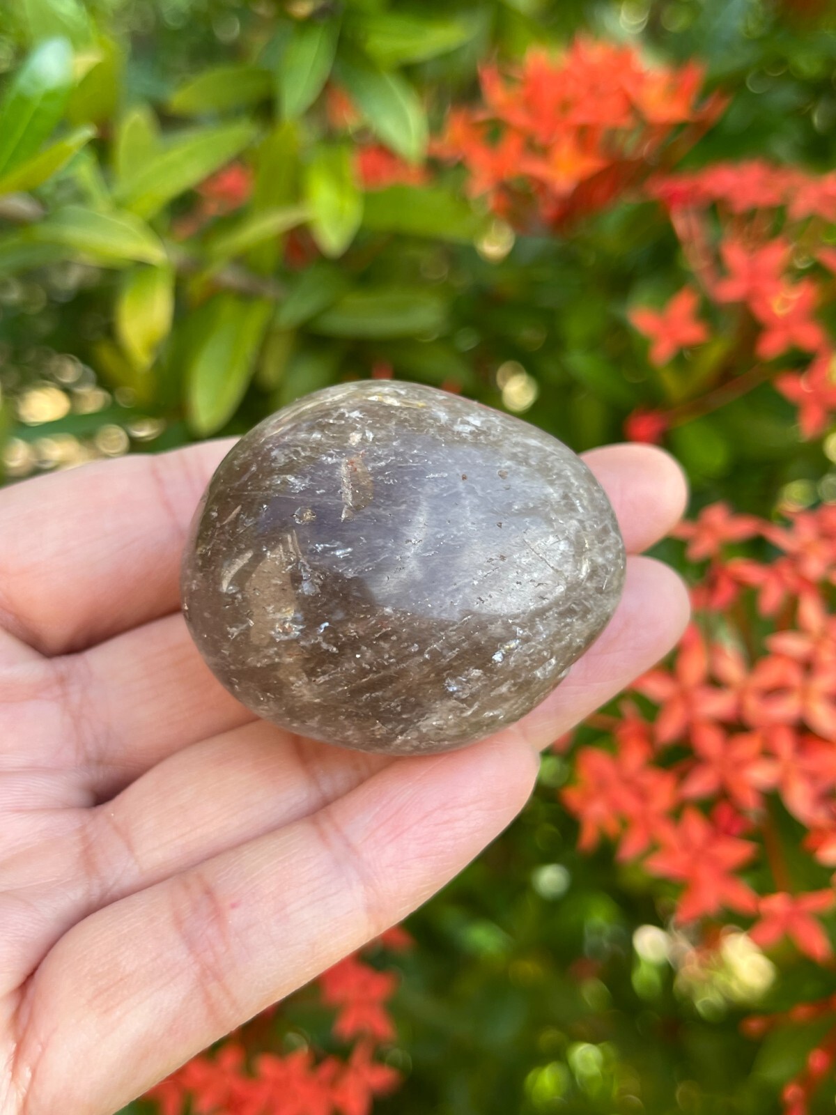 Smoky Quartz Pebble, 1-2 Inches Large Tumbled Smoky Quartz, Wholesale Bulk Lot