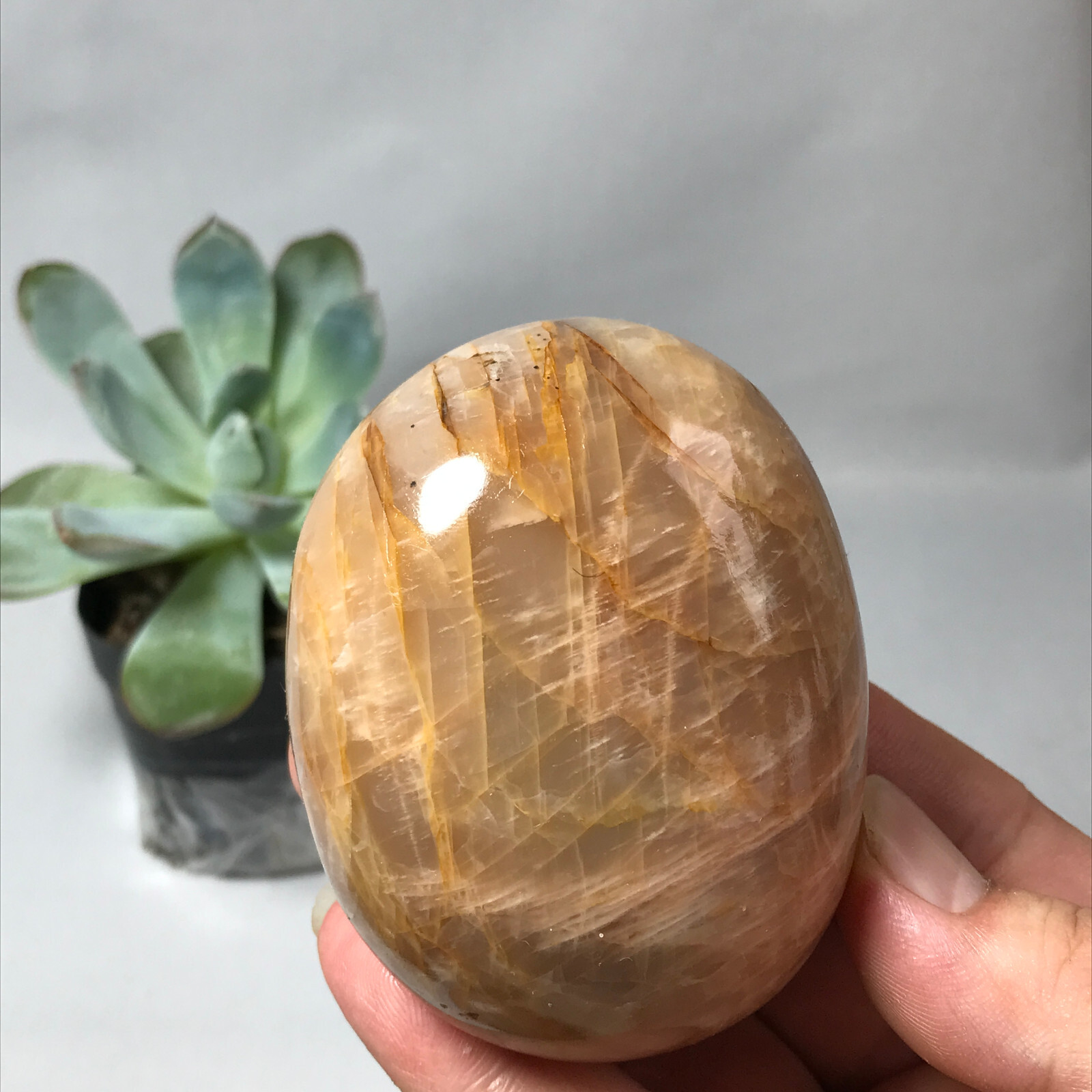 73mm Natural orange moonstone polish/rough Crystal specimens tumbled 265g g6645