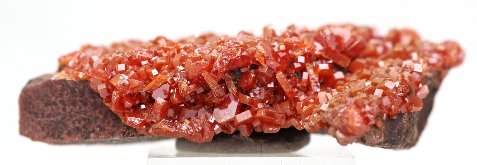VANADINITE Crystal Mineral Specimen Cluster Matrix Gemstone Natural Red MOROCCO