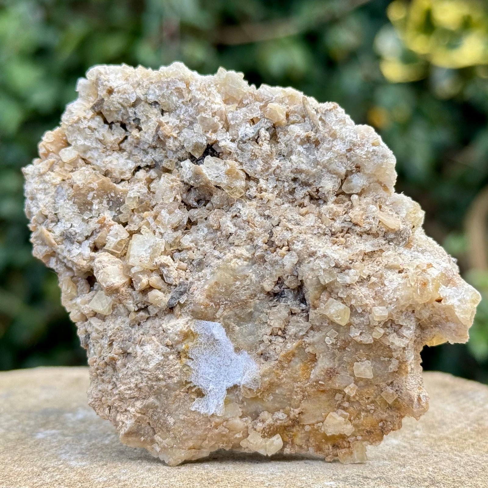 Baryte Crystal Chatel Guyon Auvergne France Natural Barite Specimen From Alice