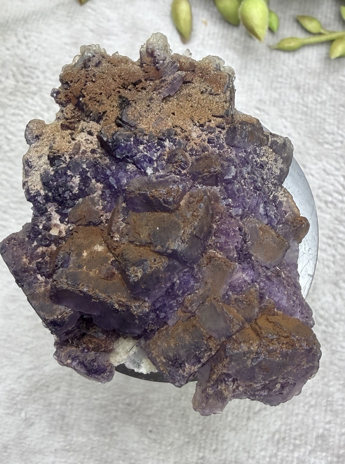 Crystal 58g Natural Coated Purple Window Cube Fluorite Specimen Mineral