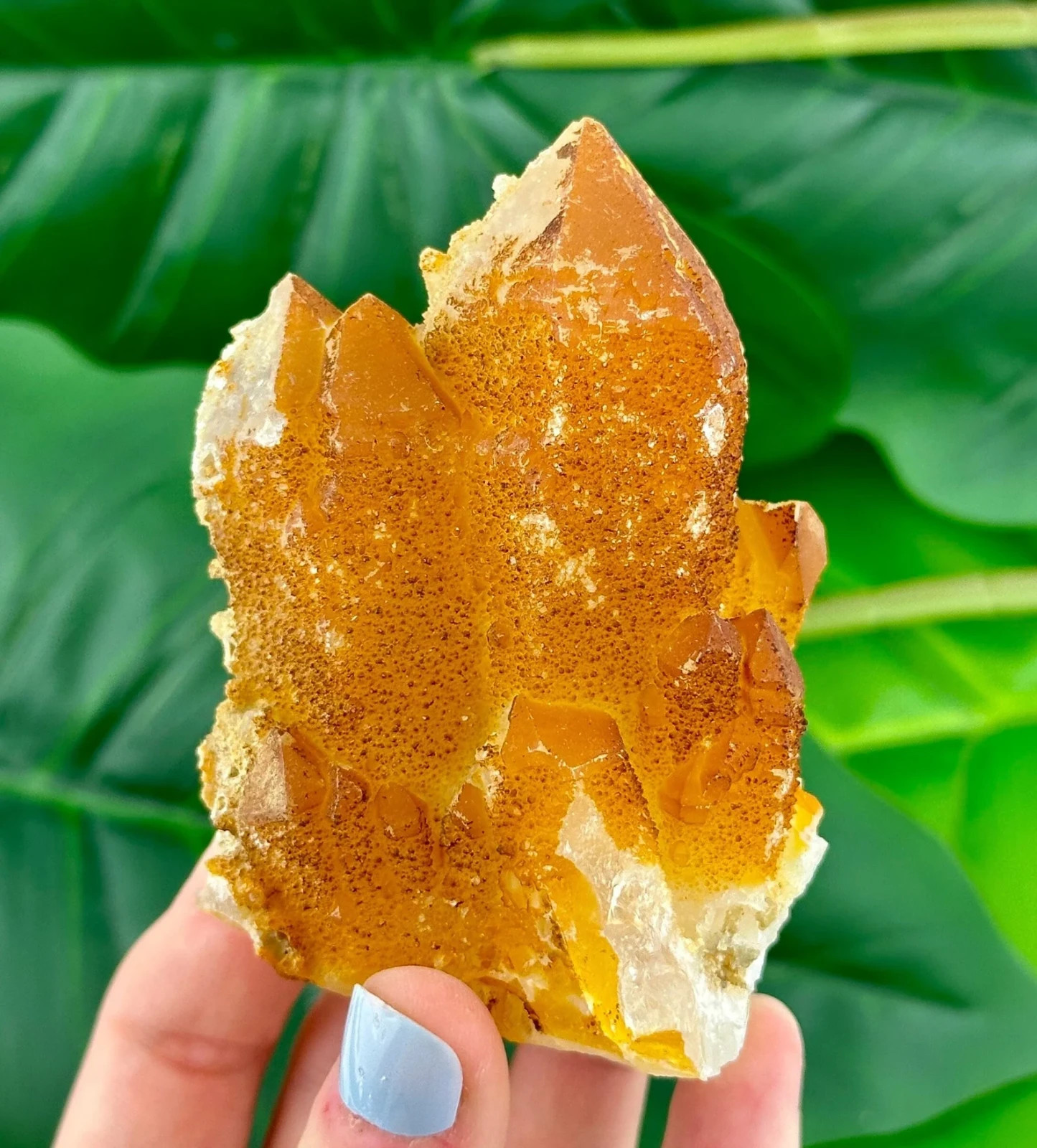 255g Amazing Quartz Cover with Limonite from Krushev dol mine, Madan, Bulgaria